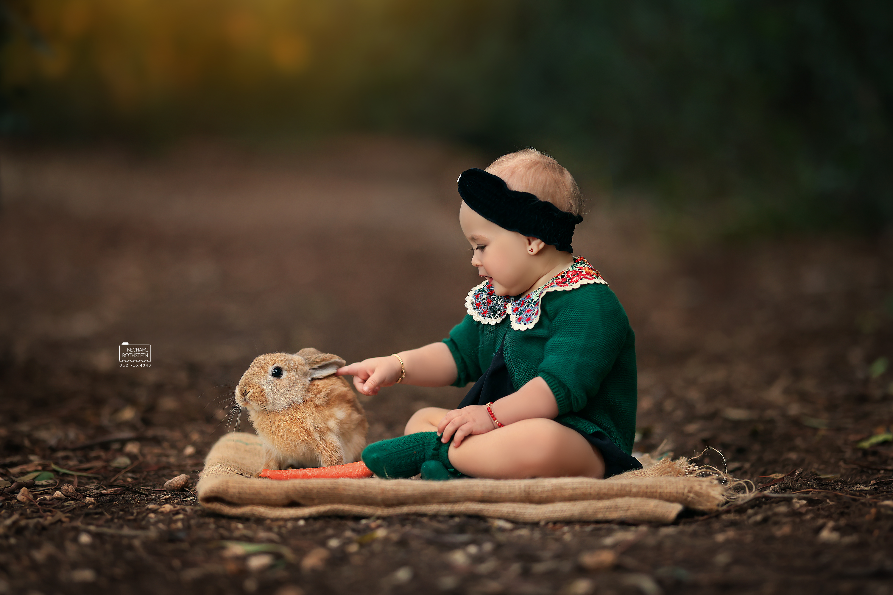 צילום נחמי רוטשטיין 0527164343 (6).jpg