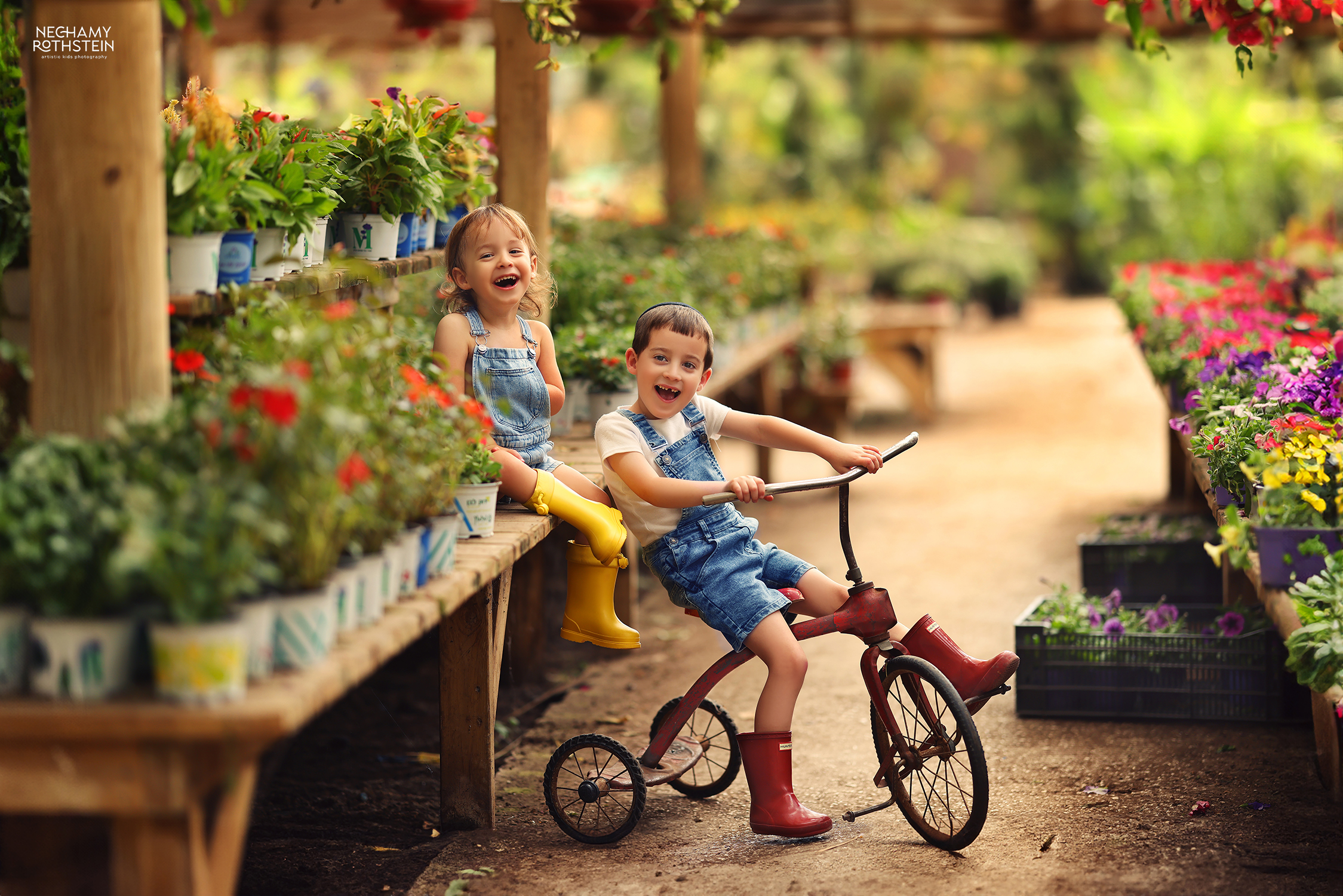 צילום נחמי רוטשטיין 0527164343 (6).jpg