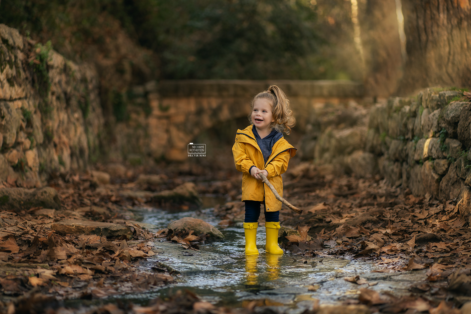 צילום נחמי רוטשטיין 0527164343 (7).jpg