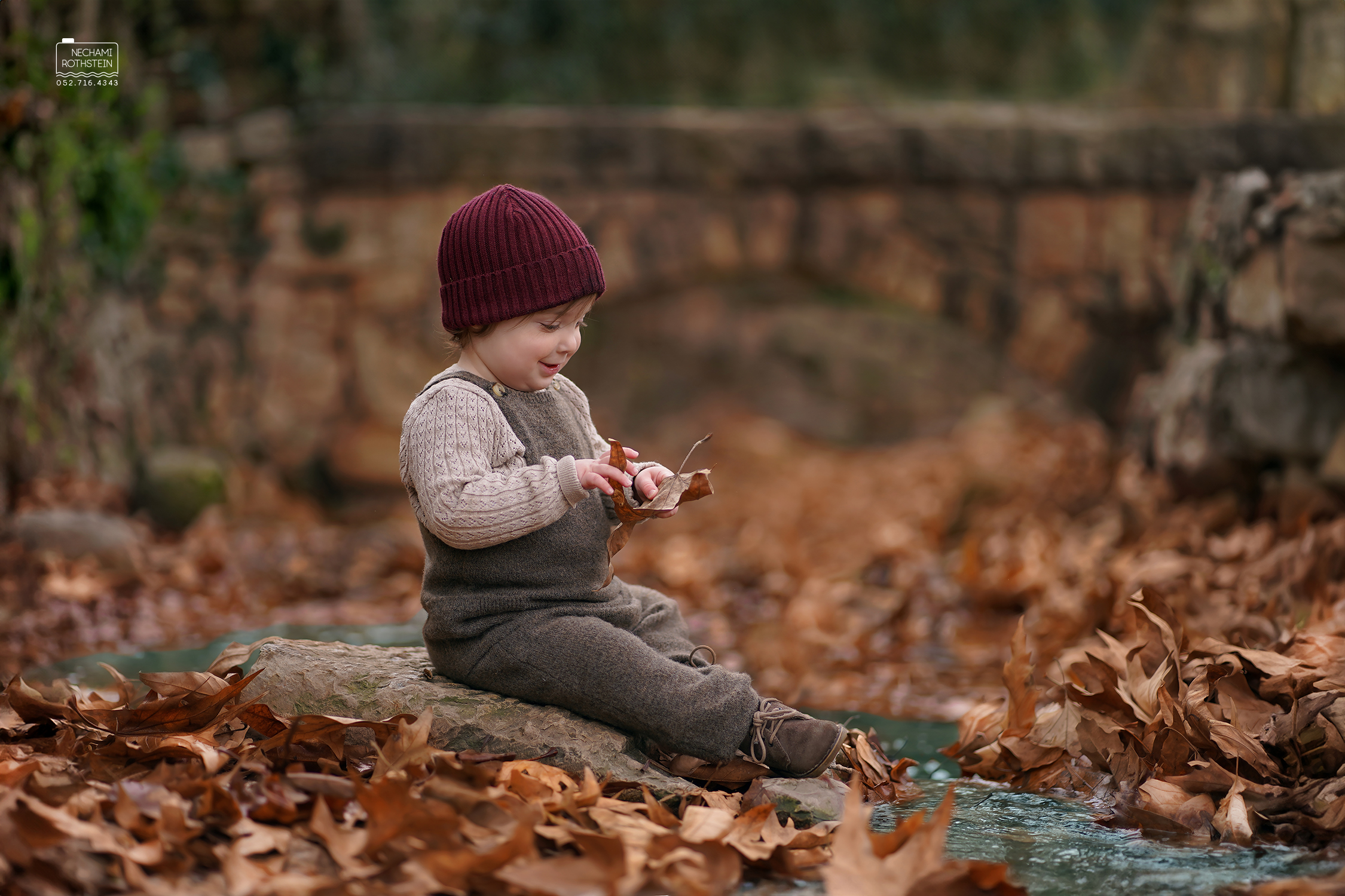 צילום נחמי רוטשטיין 0527164343 (7).jpg