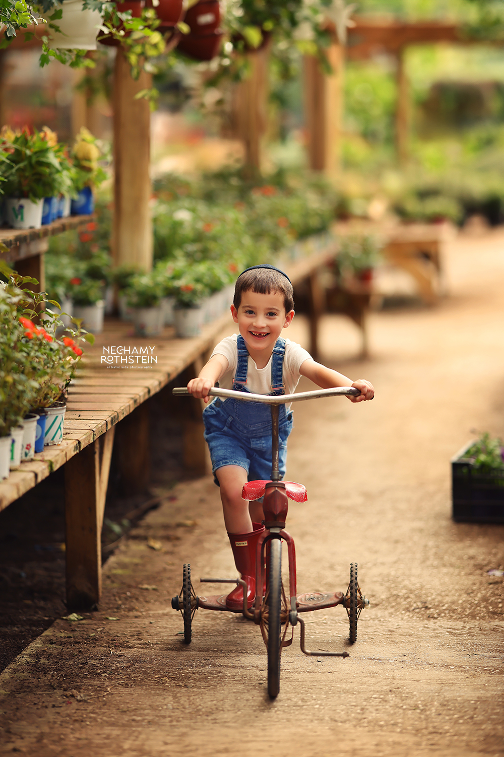 צילום נחמי רוטשטיין 0527164343 (7).jpg