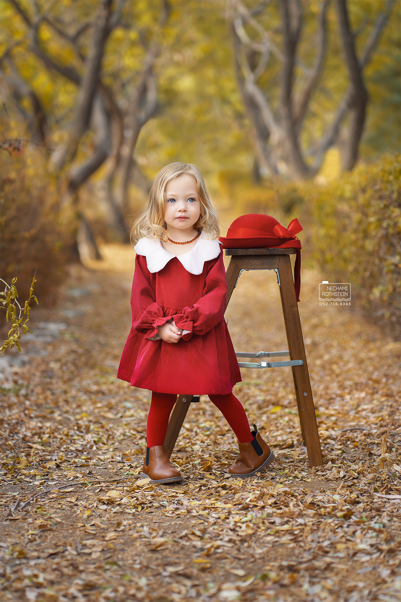 צילום נחמי רוטשטיין 0527164343 (8).jpg