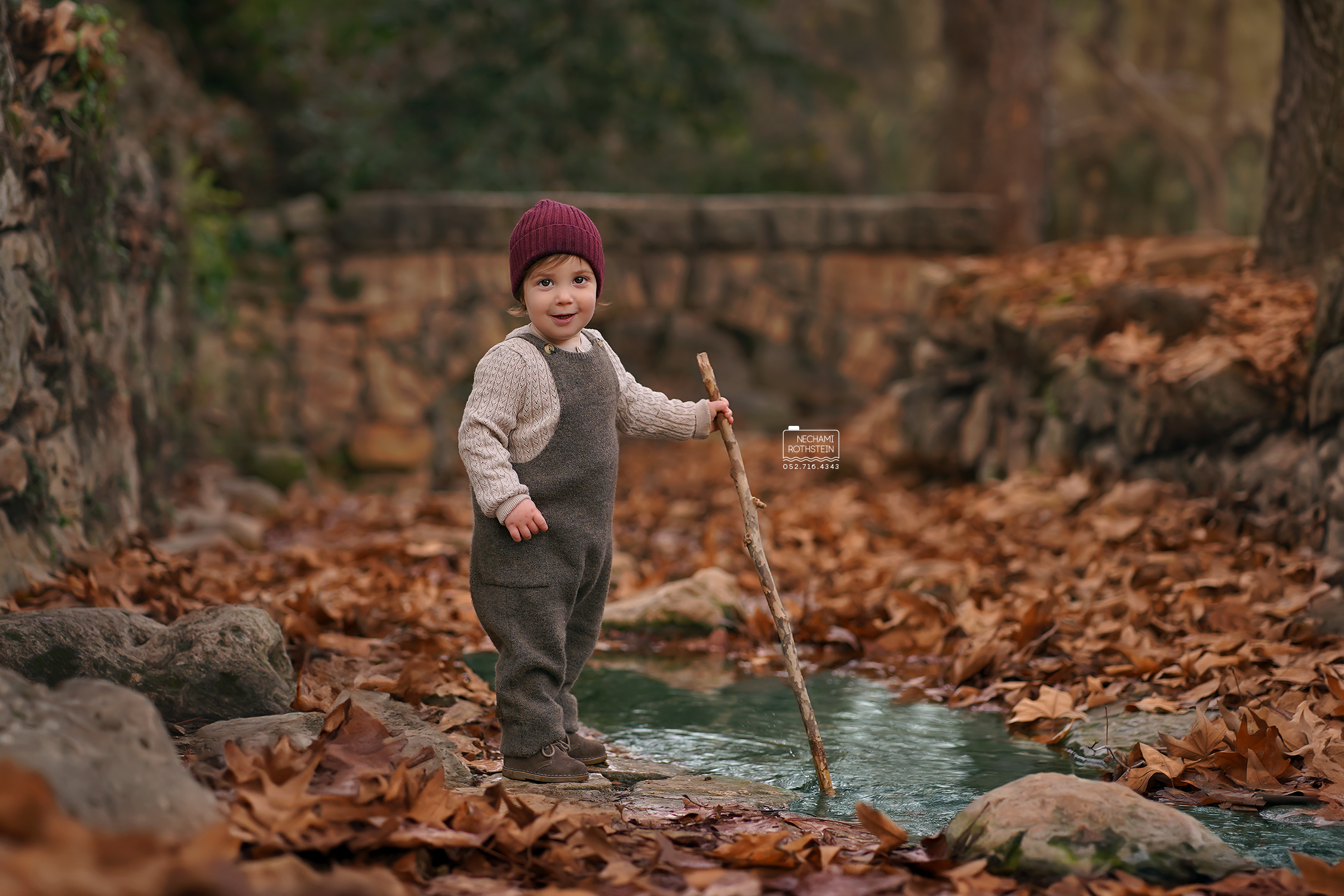 צילום נחמי רוטשטיין 0527164343 (8).jpg