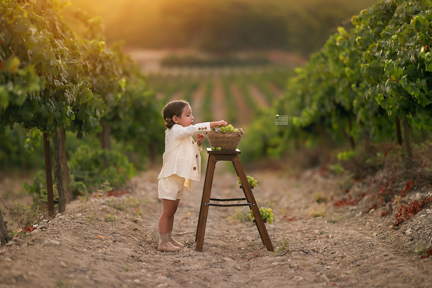 צילום נחמי רוטשטיין 0527164343 (9).jpg