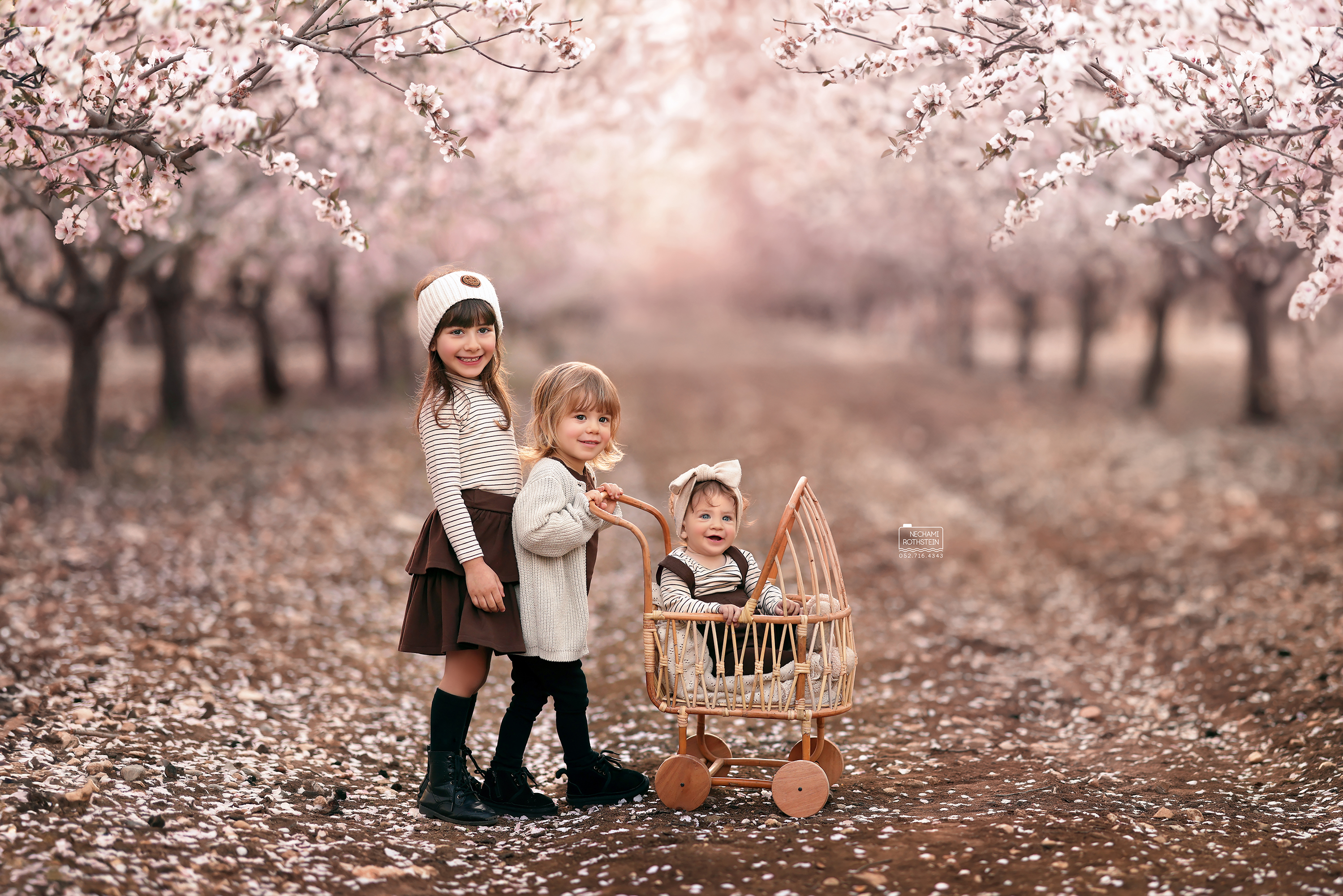 צילום נחמי רוטשטיין 0527164343 (9).jpg