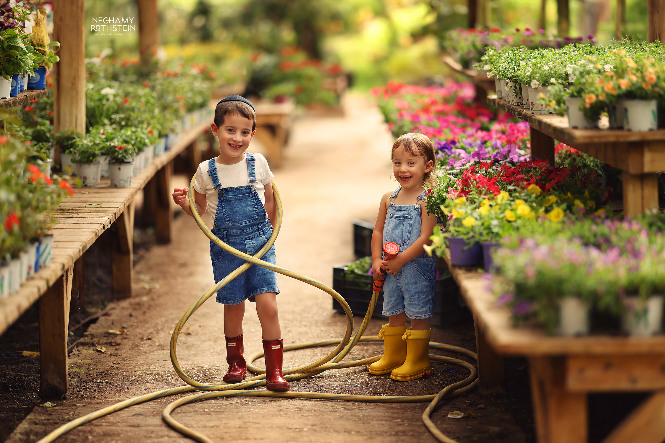 צילום נחמי רוטשטיין 0527164343 (9).jpg