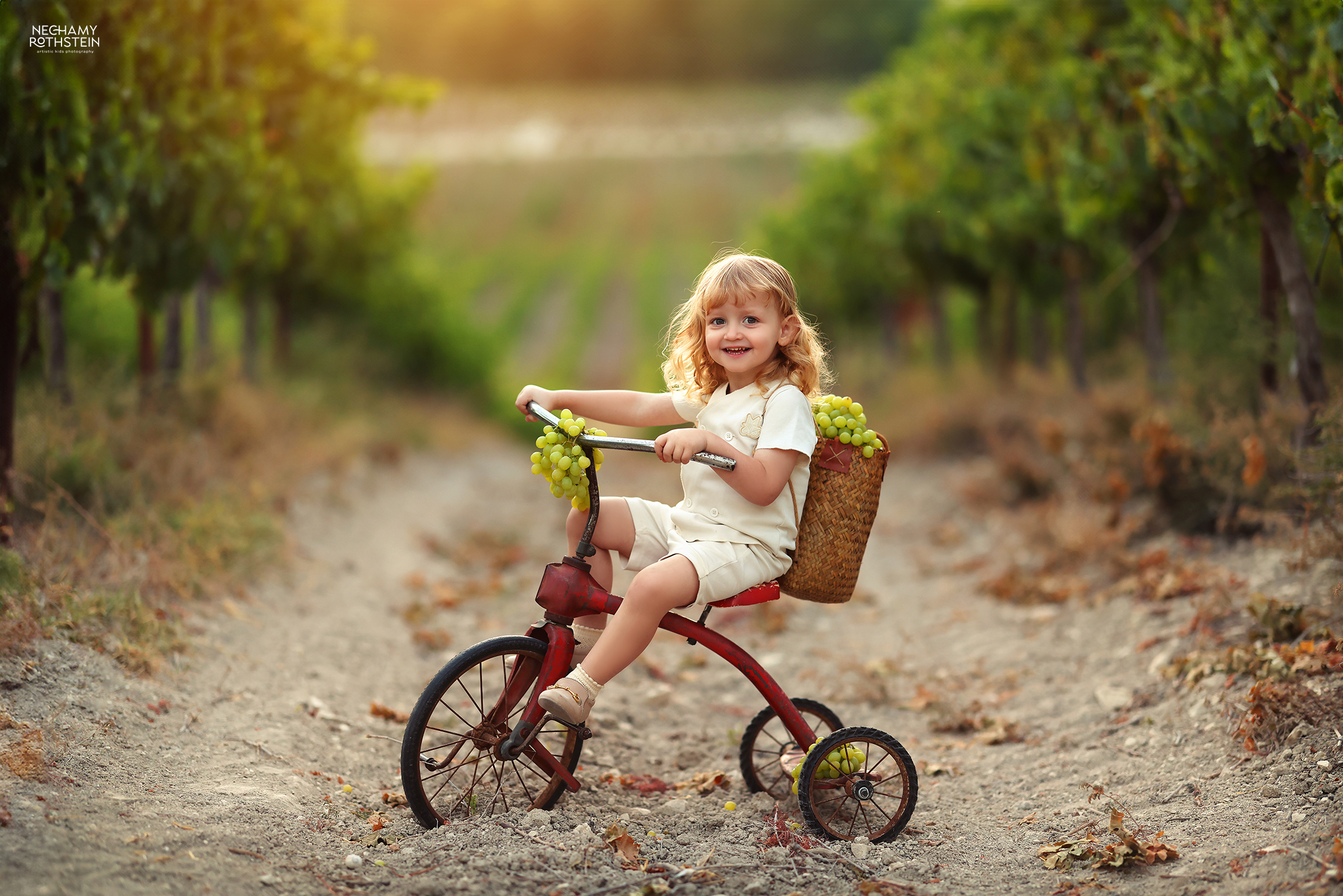 צילום נחמי רוטשטיין (10).jpg