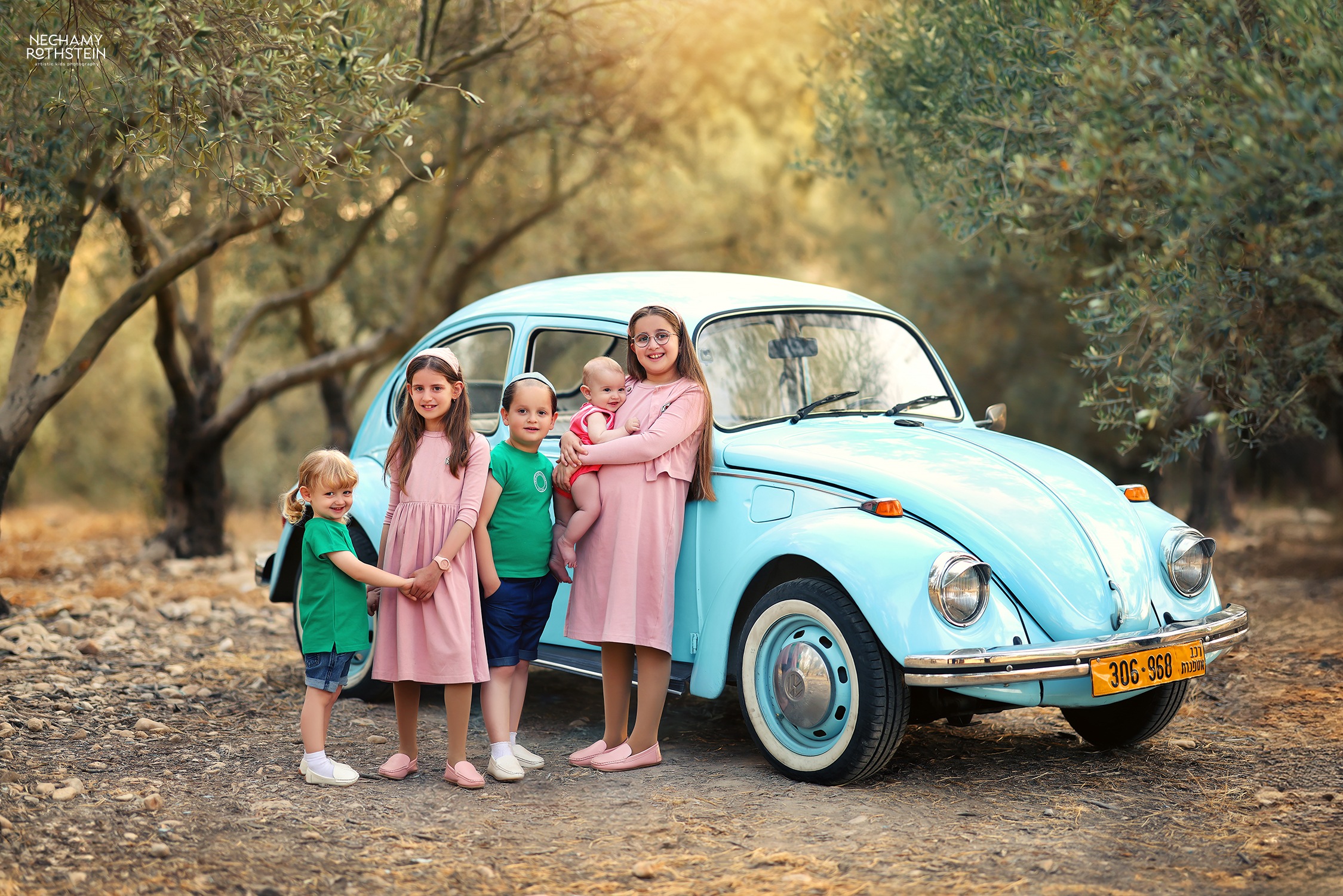 צילום נחמי רוטשטיין (5).jpg