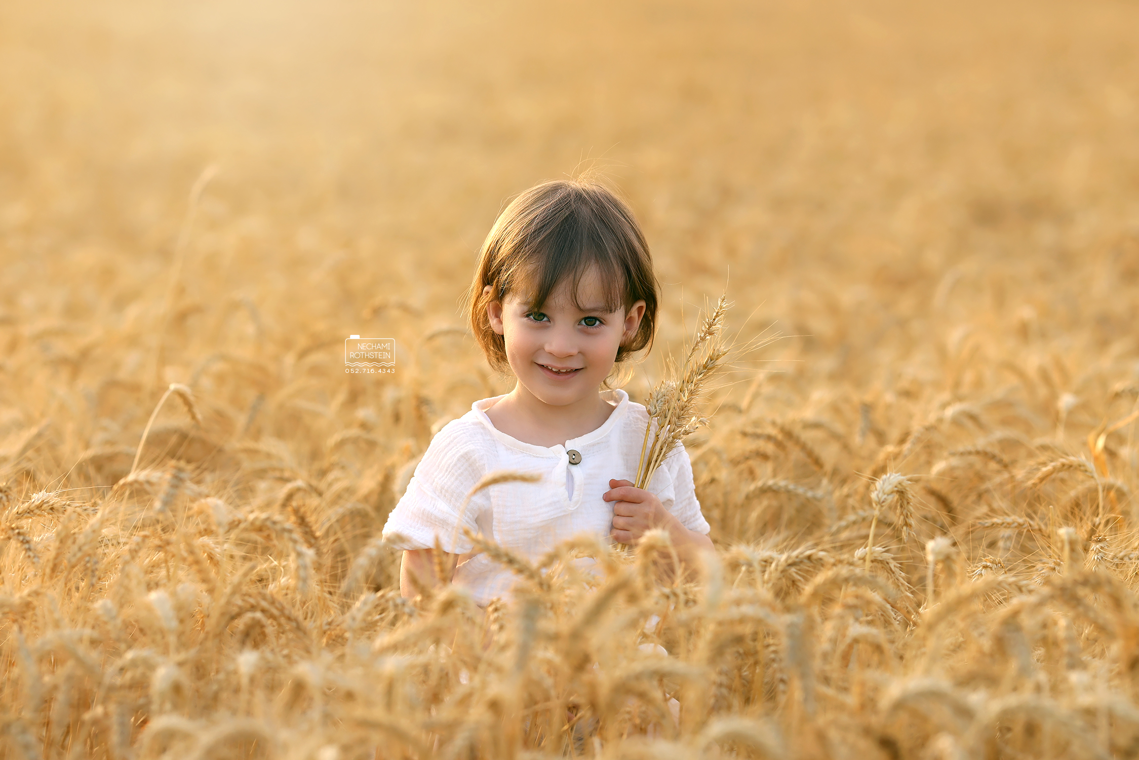 צילום נחמי רוטשטיין (9).jpg