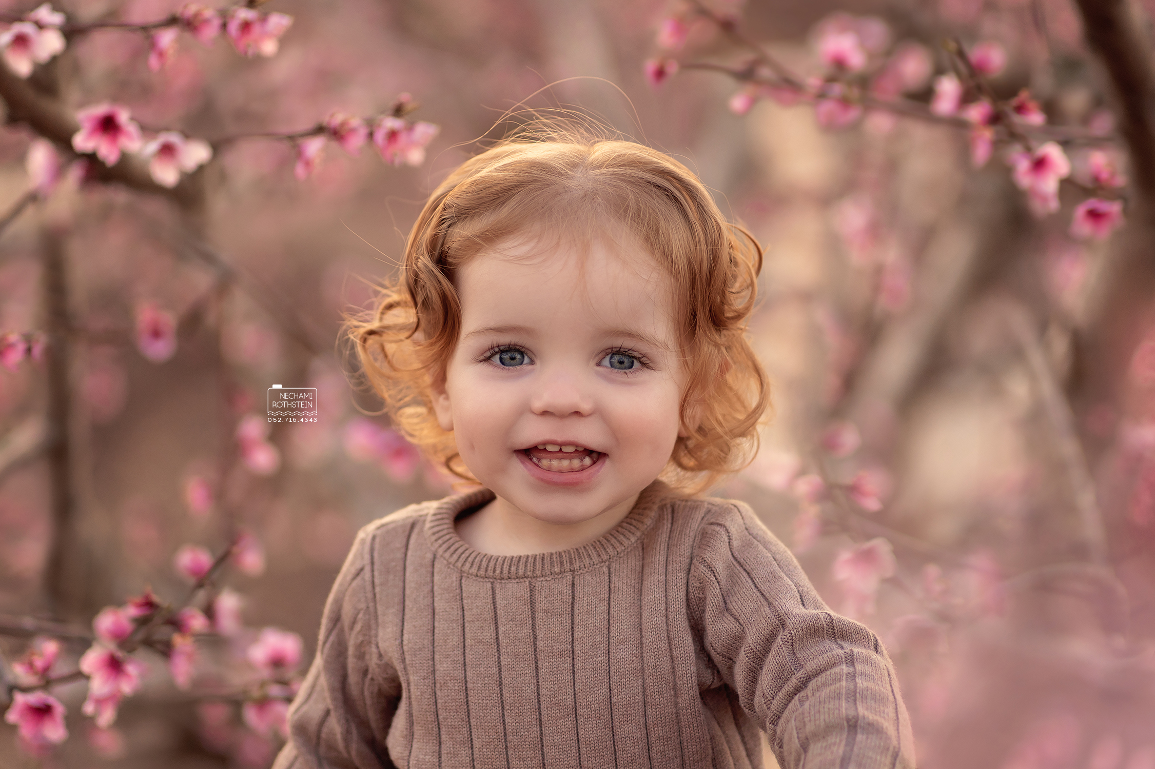 צילום נחמי רוטשטין 0527164343 (1).jpg