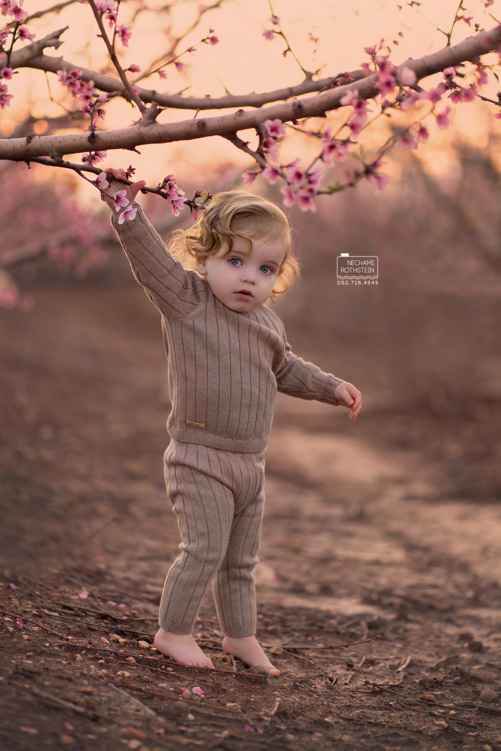 צילום נחמי רוטשטין 0527164343 (2).jpg