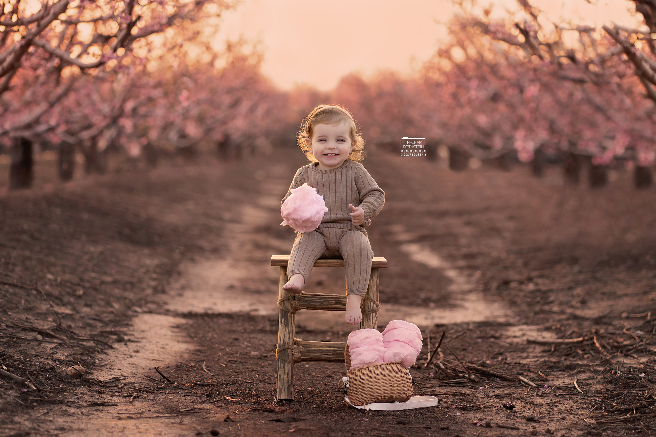 צילום נחמי רוטשטין 0527164343 (3).jpg