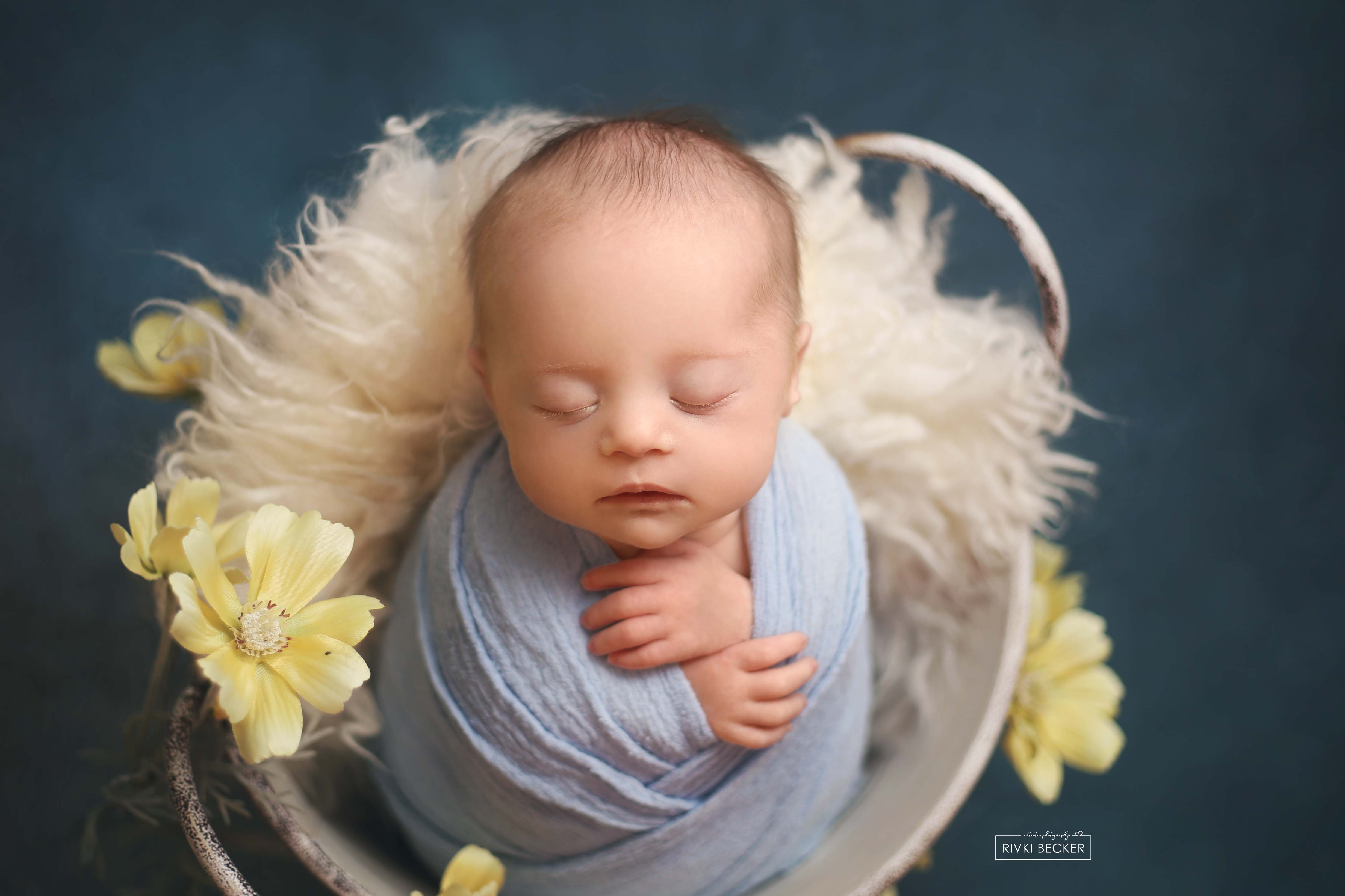 צילום ניו בורן רבקי בקר (רפפורט) 0583274887.jpg