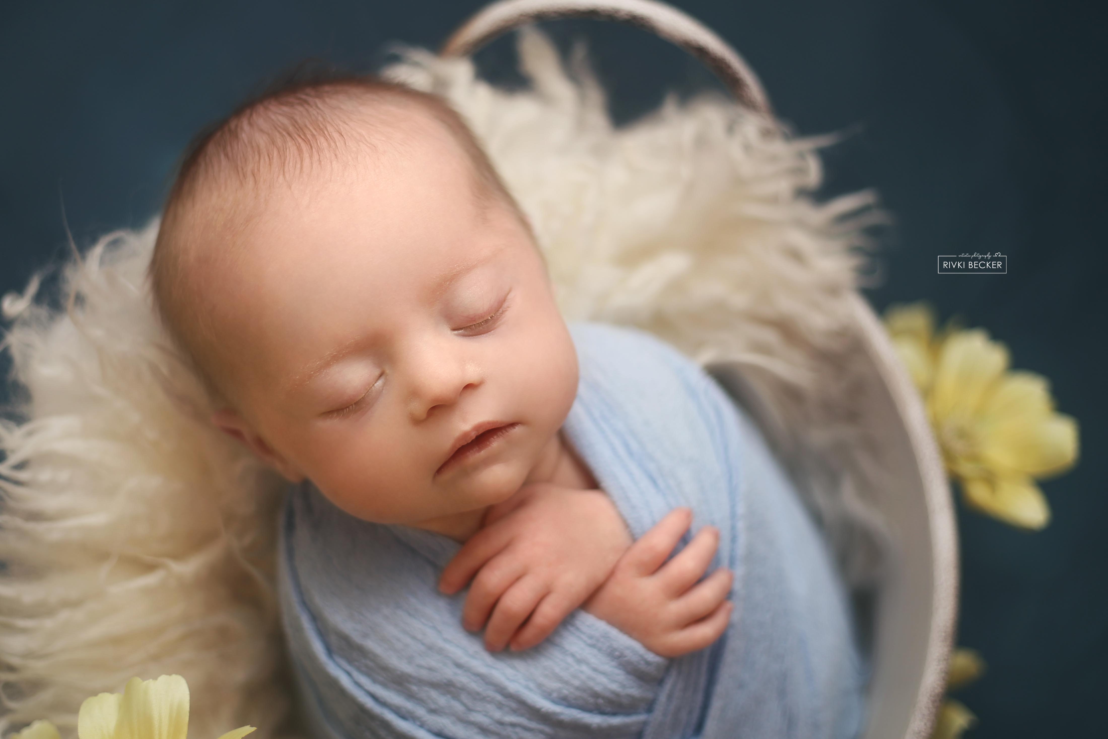 צילום ניו בורן רבקי בקר (רפפורט) 0583274887.jpg