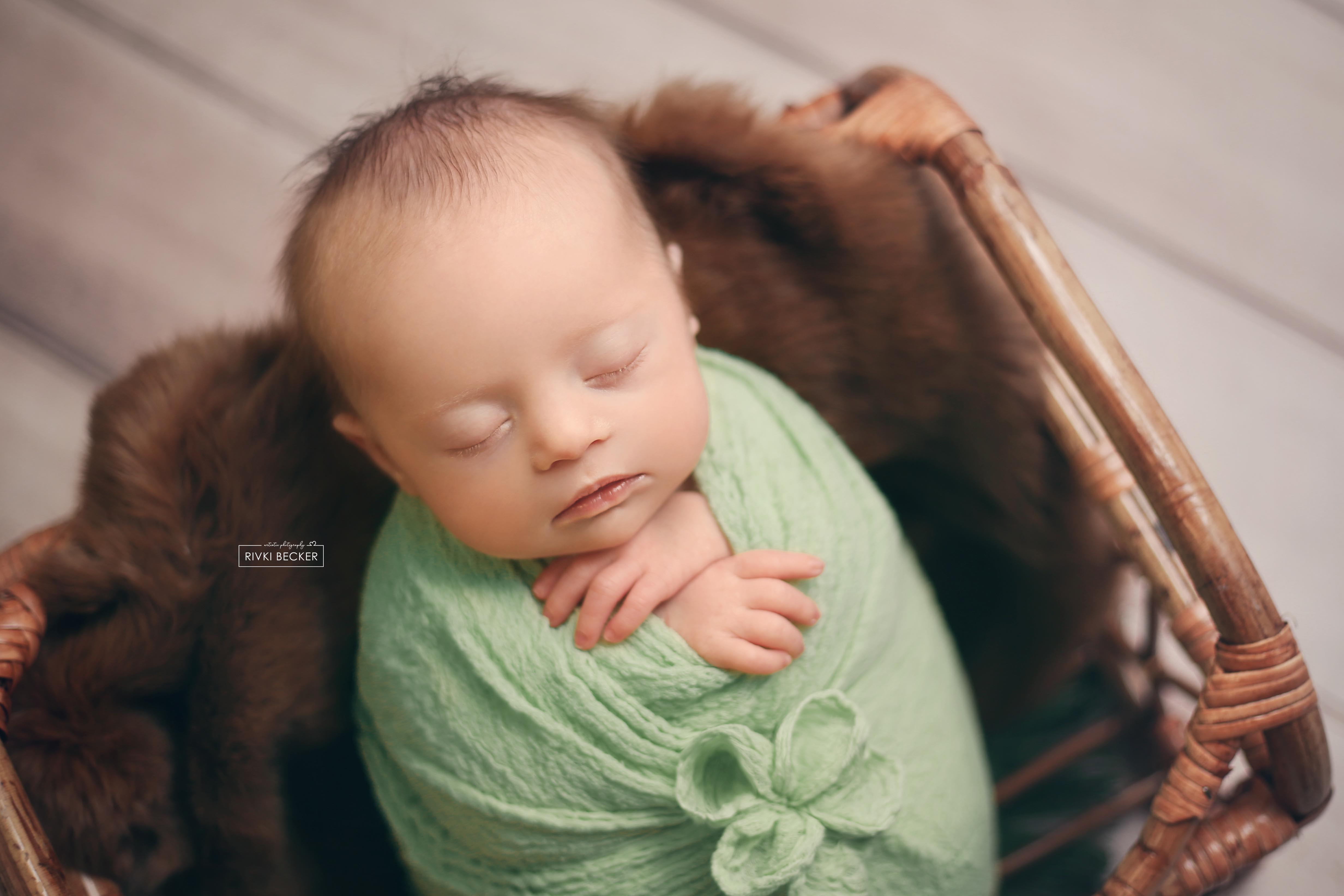 צילום ניו בורן רבקי בקר (רפפורט) 0583274887.jpg