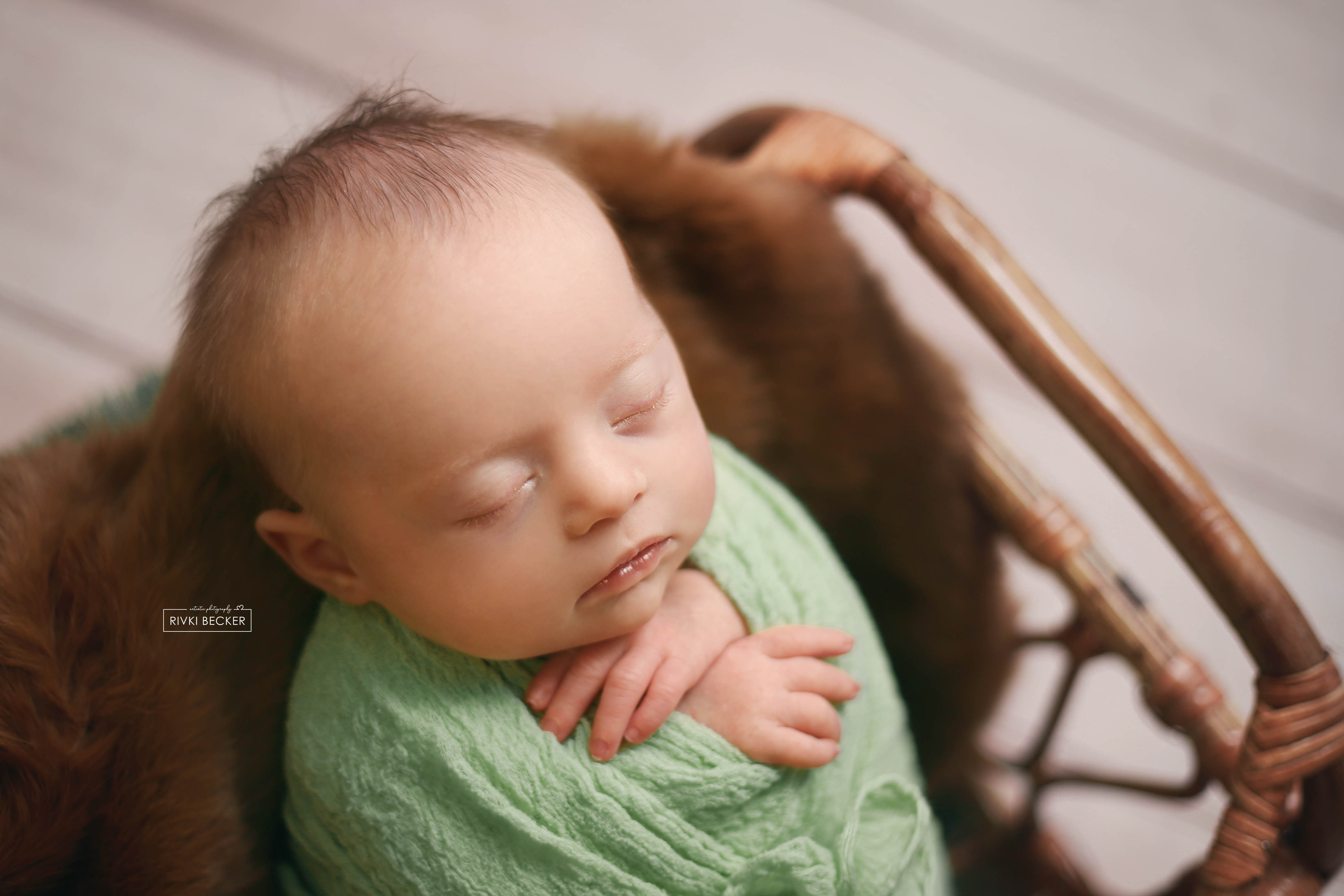 צילום ניו בורן רבקי בקר (רפפורט) 0583274887.jpg