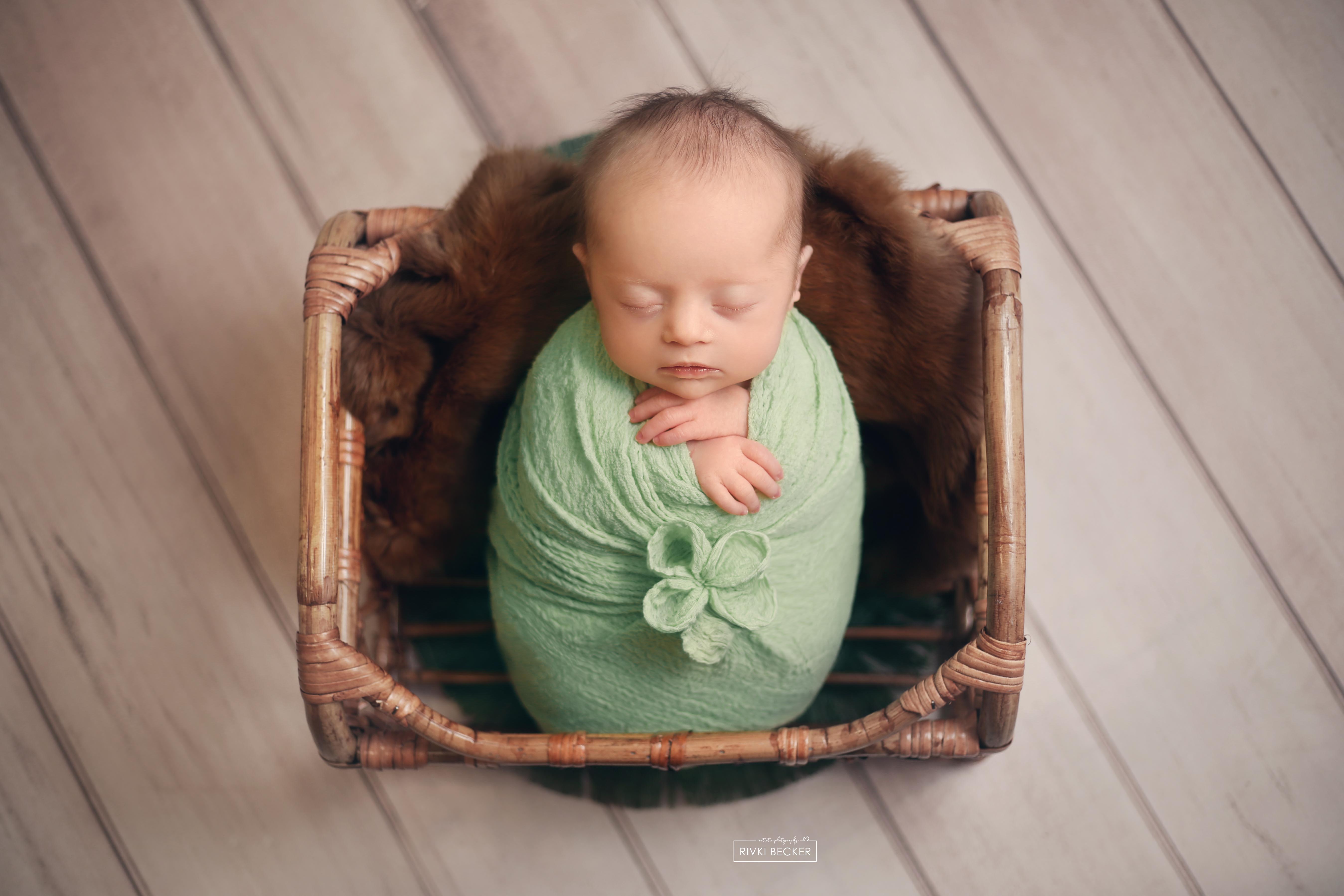 צילום ניו בורן רבקי בקר (רפפורט) 0583274887.jpg