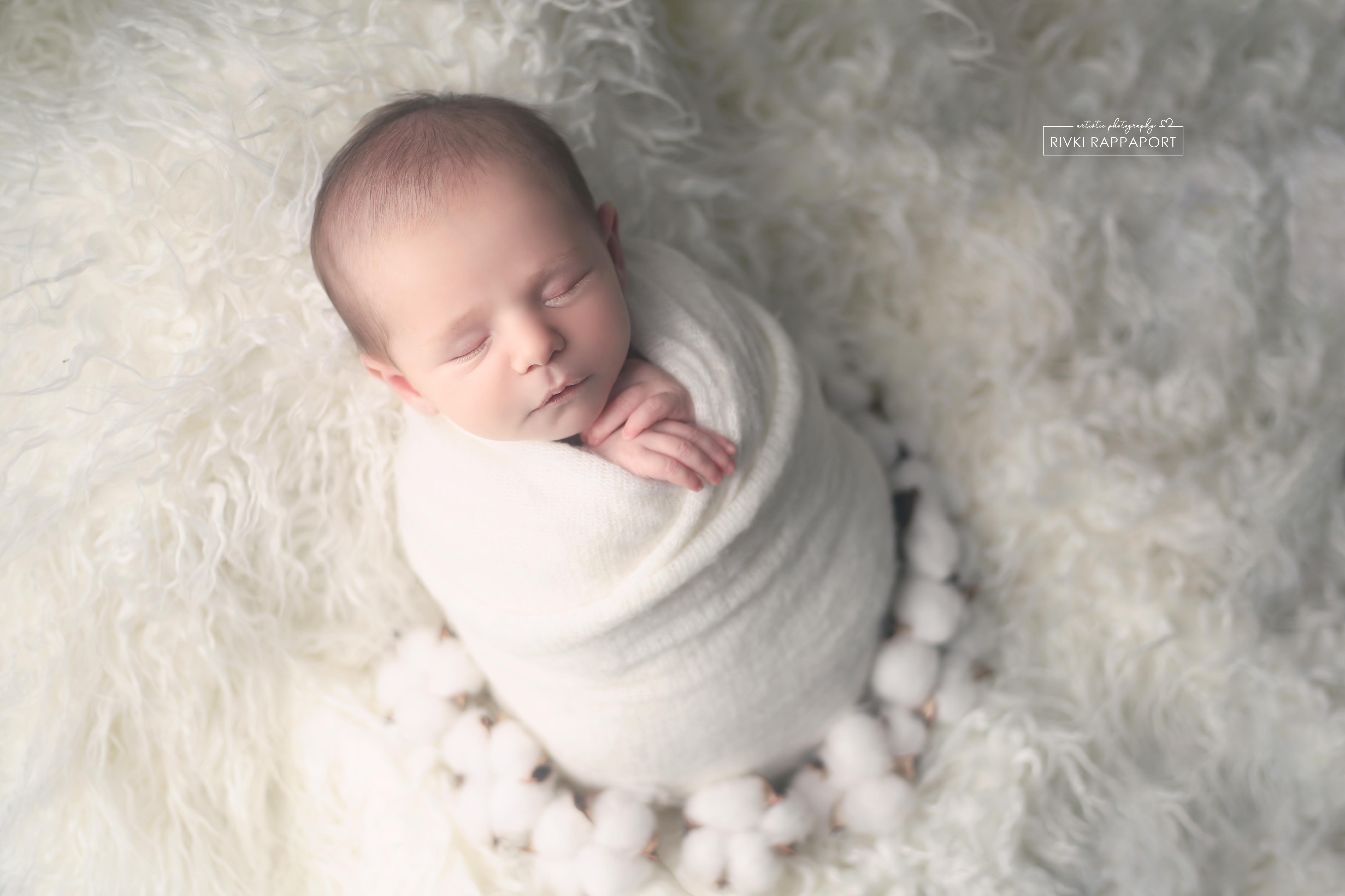 צילום ניו בורן רבקי בקר (רפפורט) 0583274887.jpg