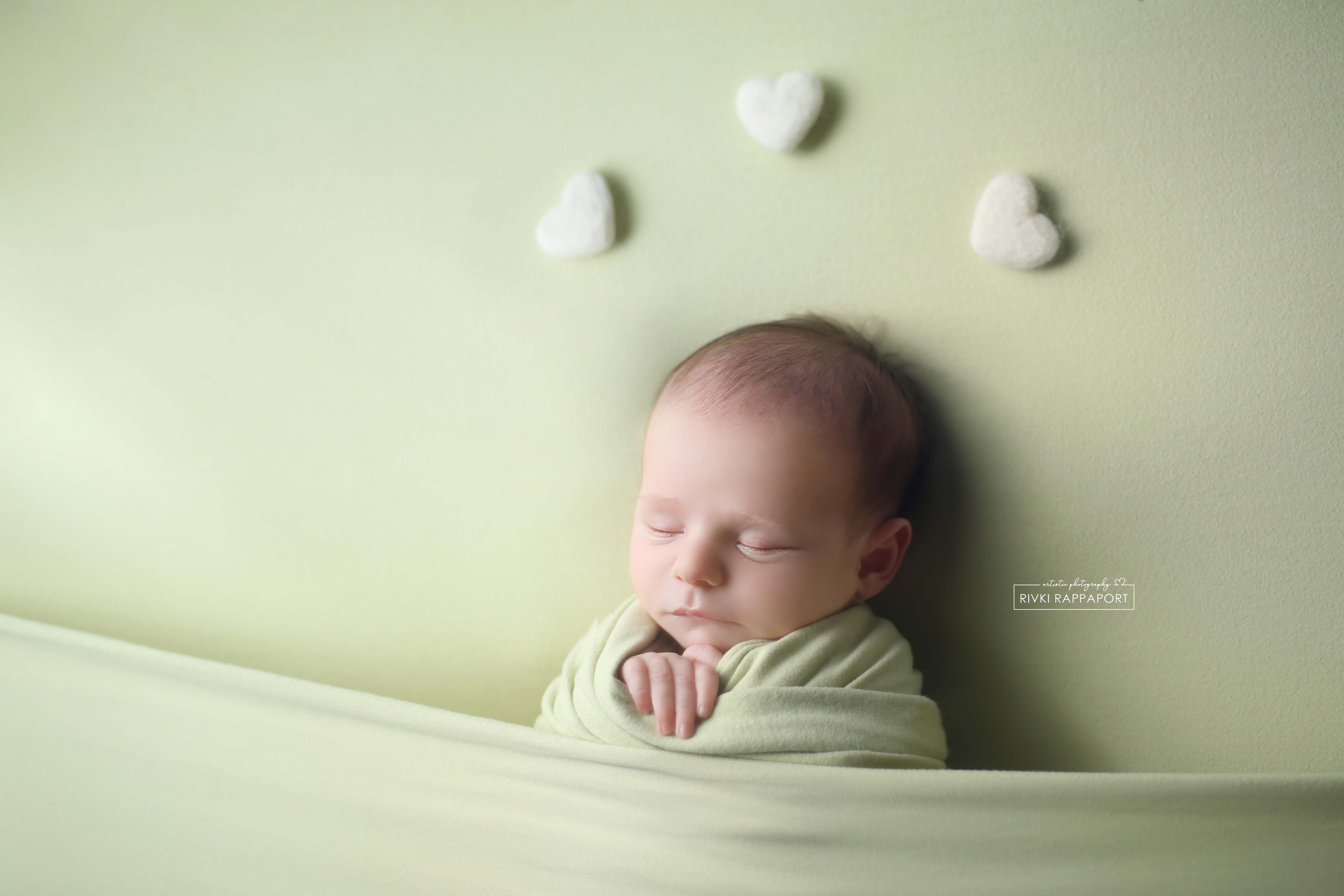 צילום ניו בורן רבקי בקר (רפפורט) 0583274887.jpg