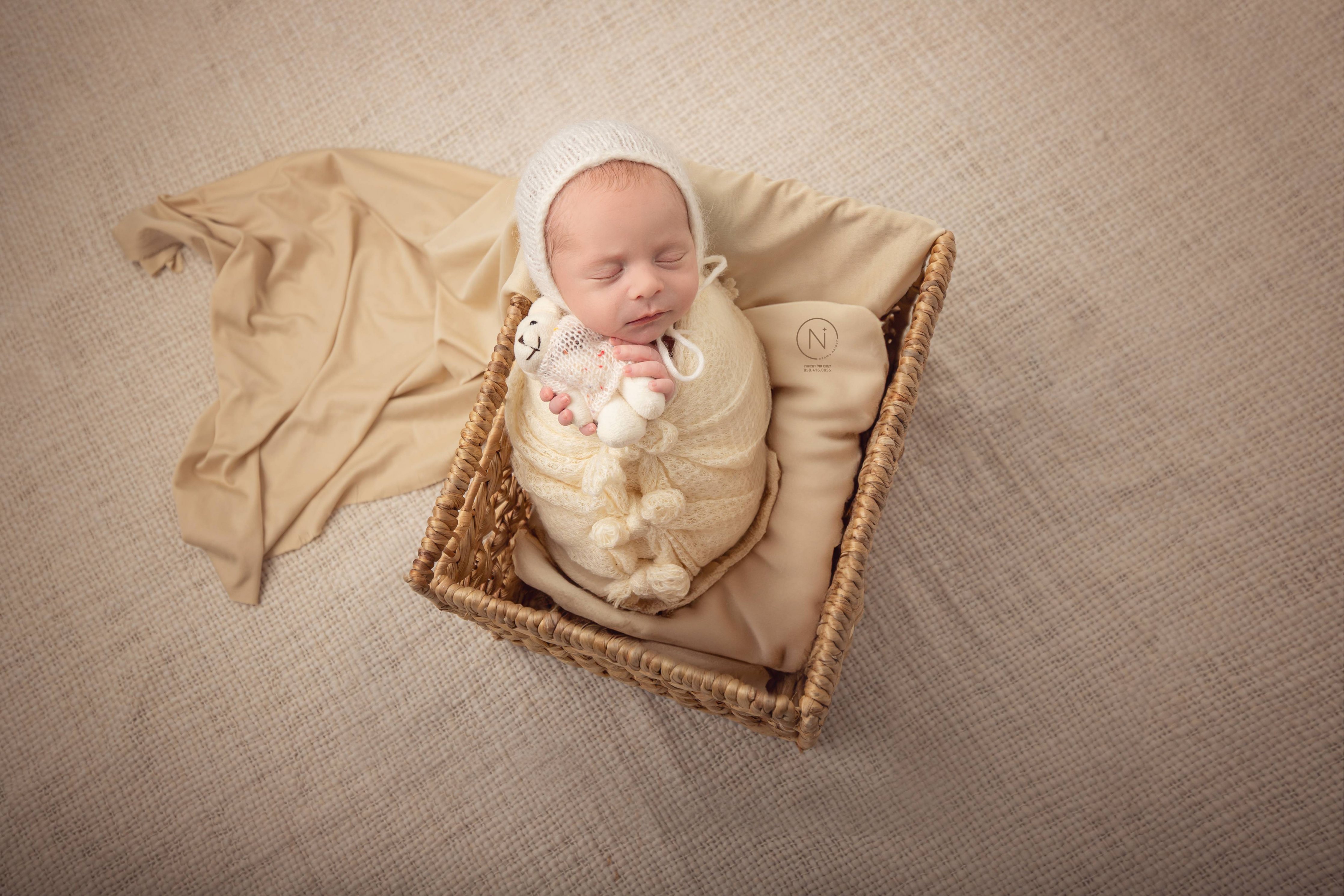 צילום נעמה נייהוז 0504160055 (14).jpg