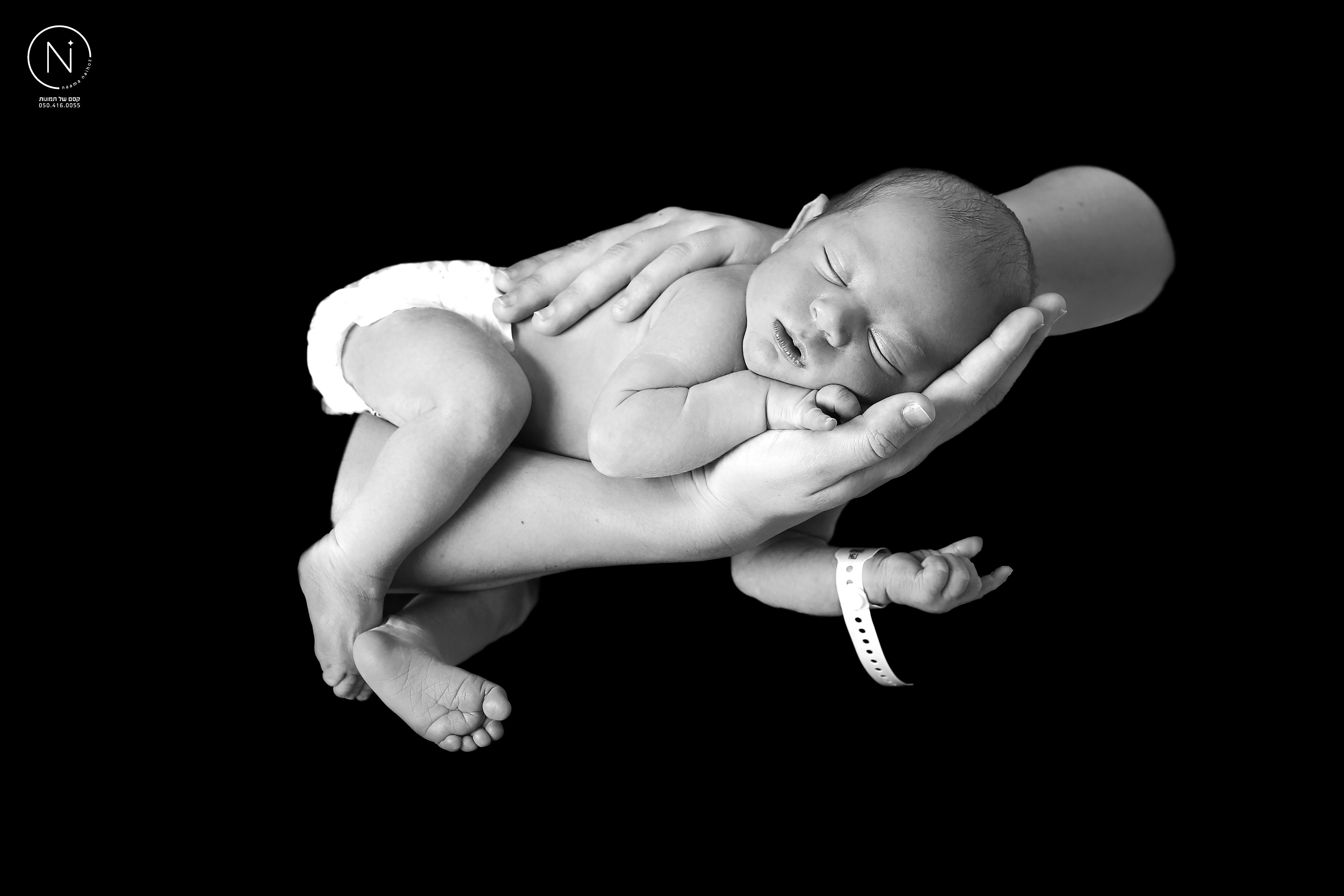 צילום נעמה נייהוז 0504160055