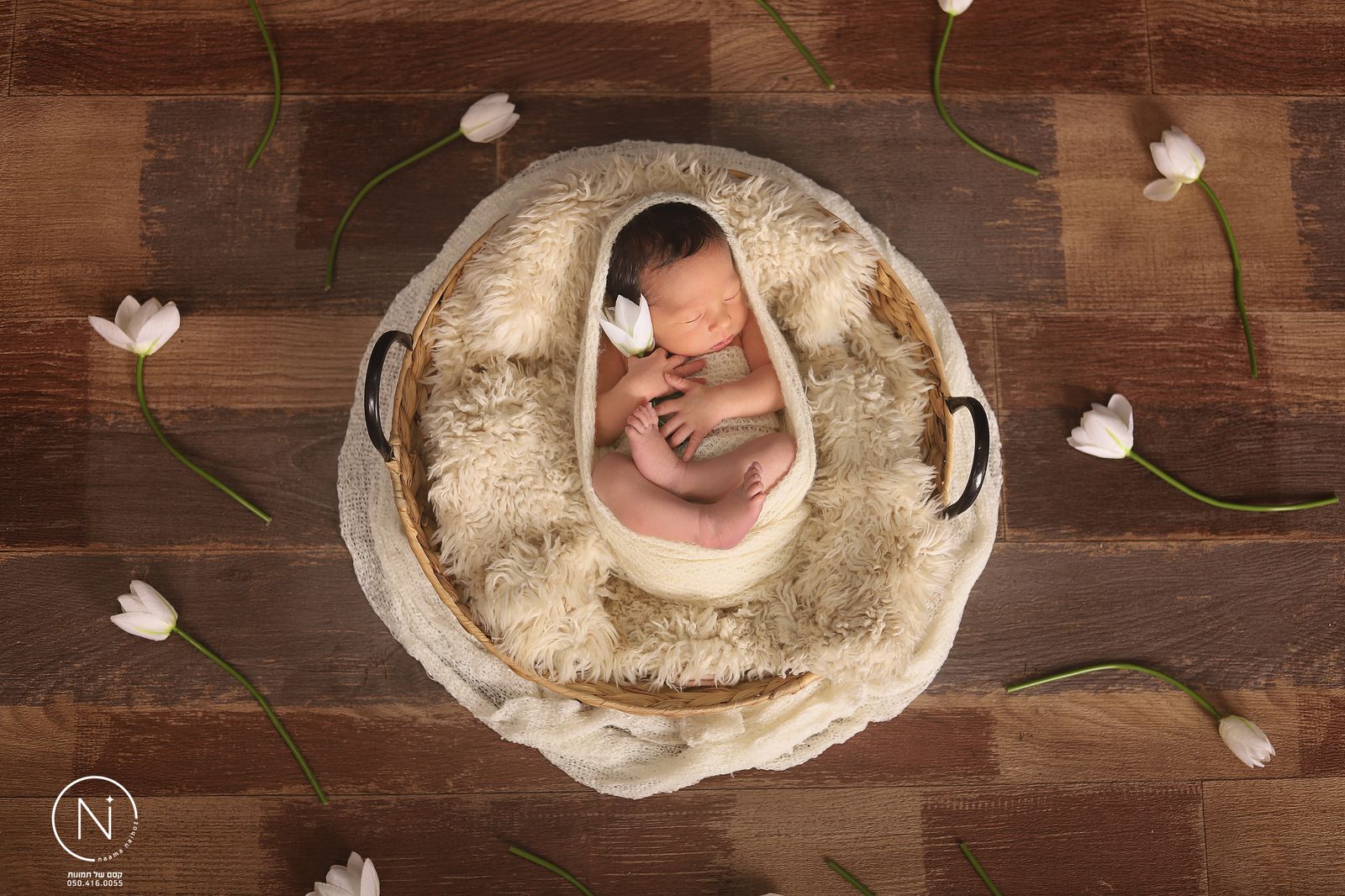 צילום נעמה נייהוז 0504160055