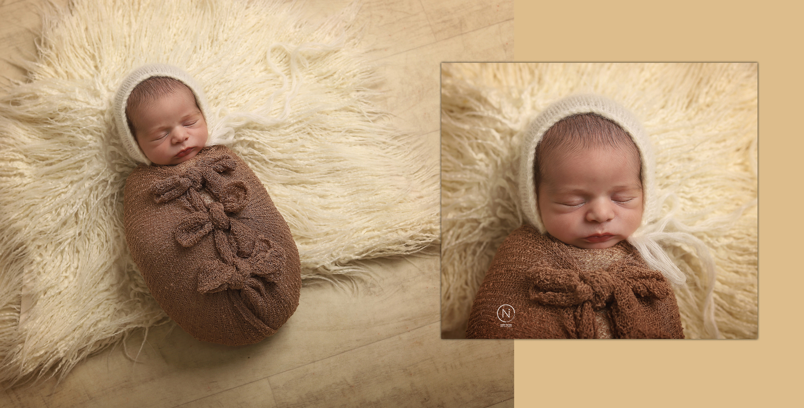 צילום נעמה נייהוז 0504160055