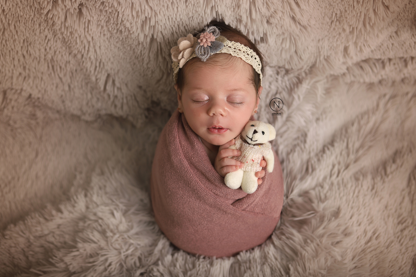 צילום נעמה נייהוז 0504160055