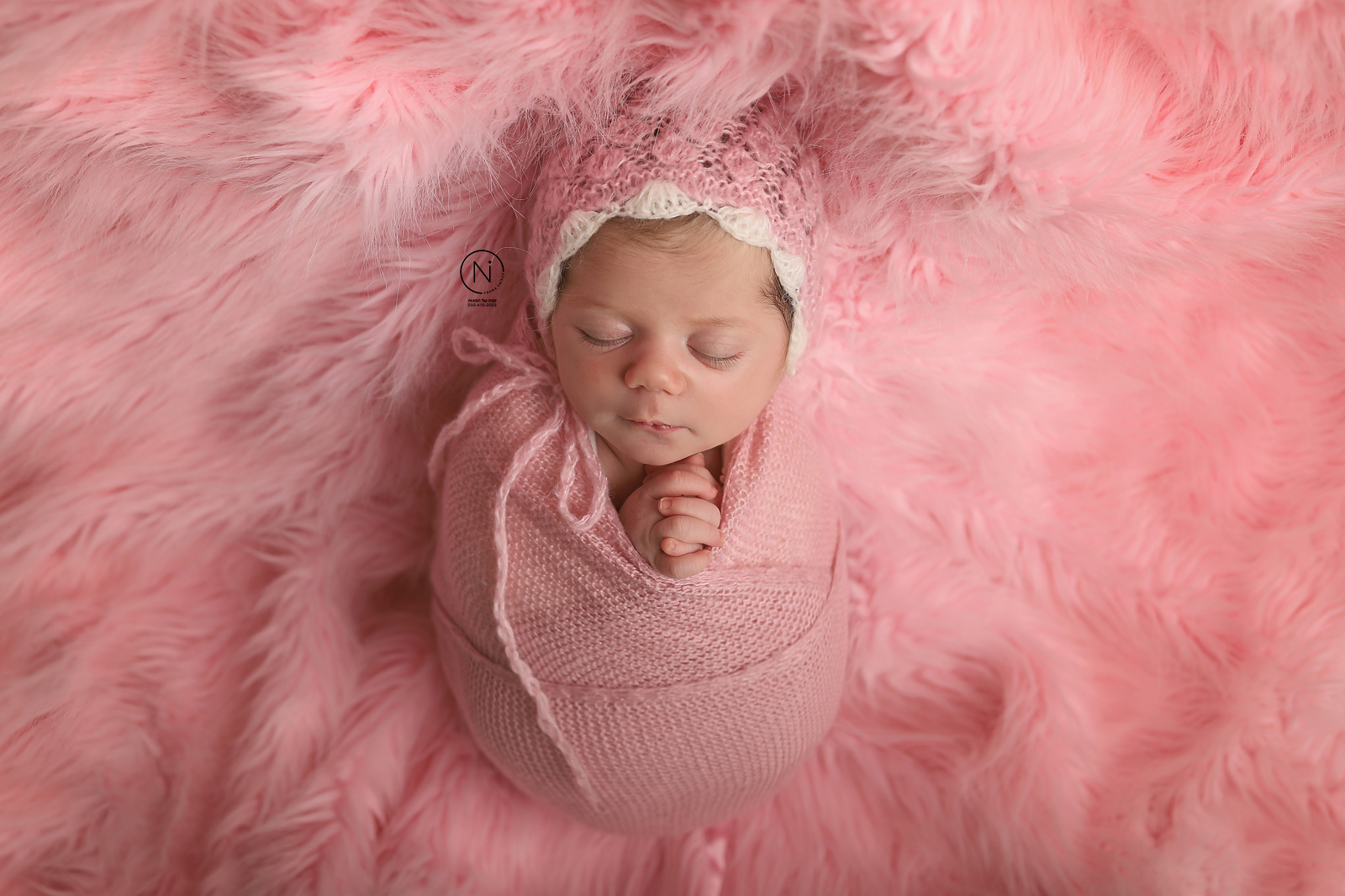 צילום נעמה נייהוז 0504160055