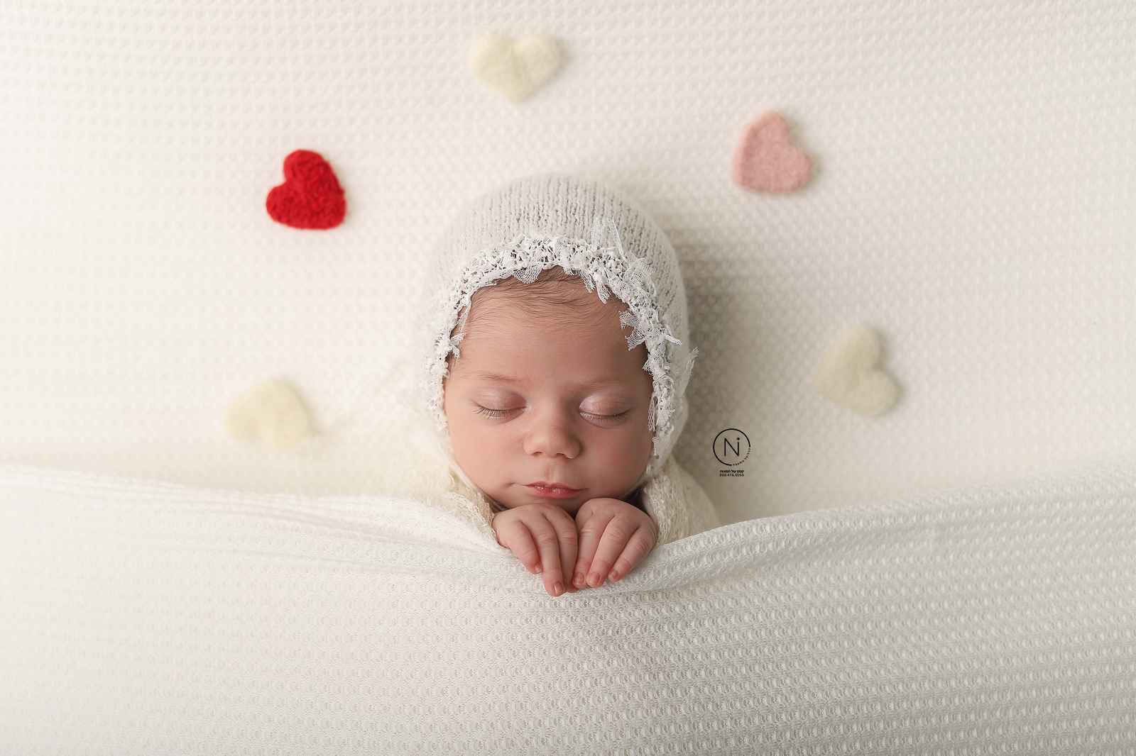 צילום נעמה נייהוז 0504160055