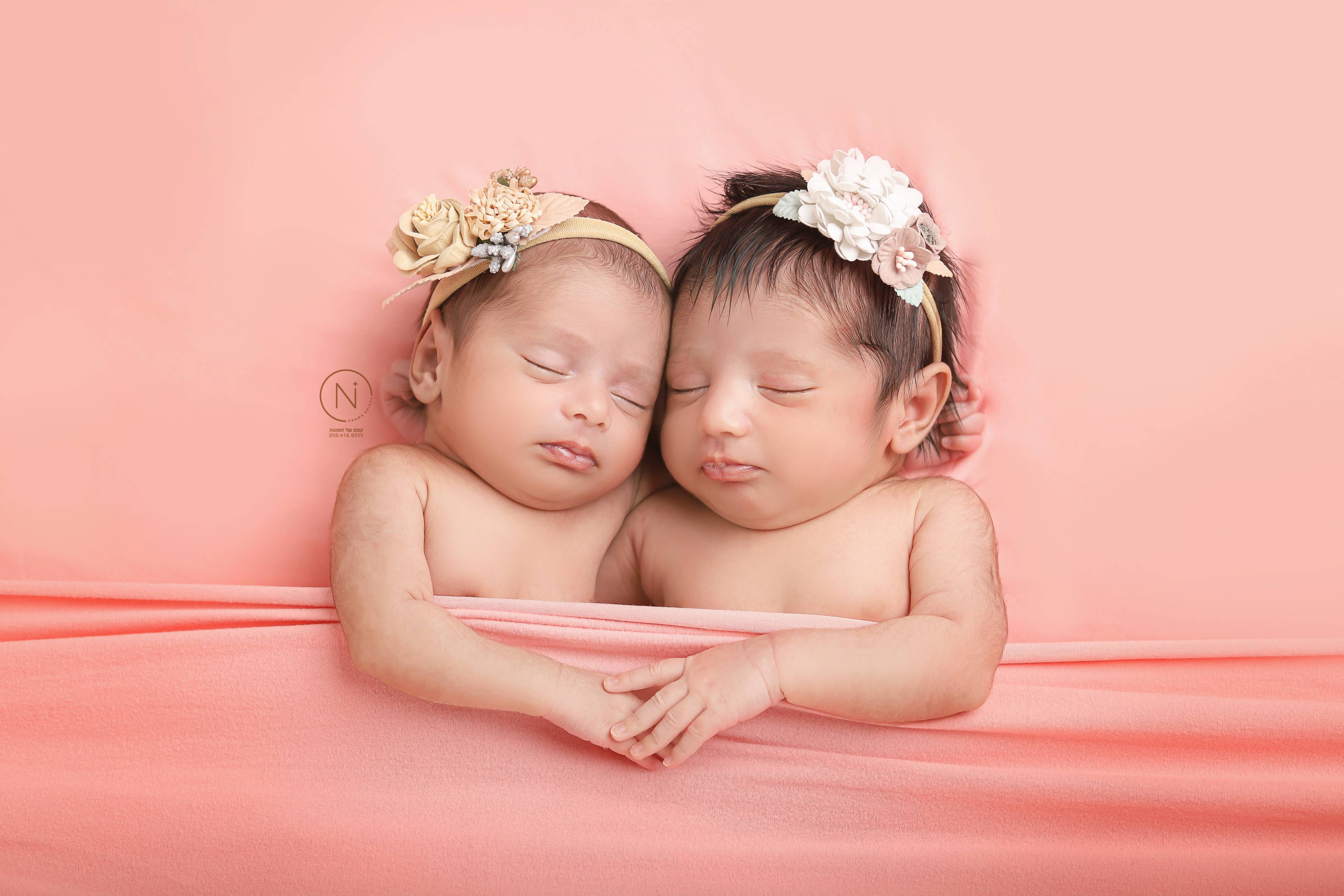 צילום נעמה נייהוז 0504160055