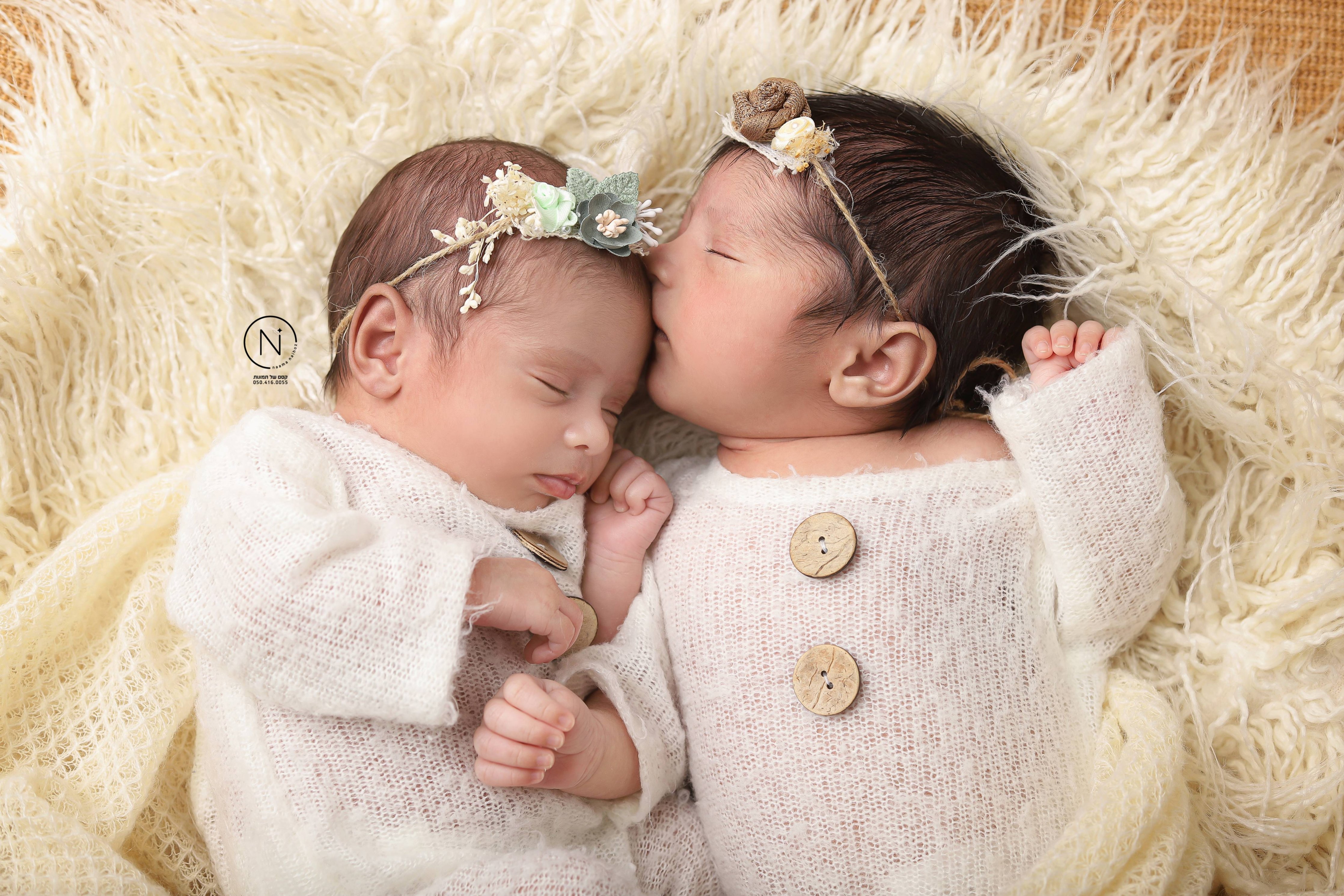 צילום נעמה נייהוז 0504160055