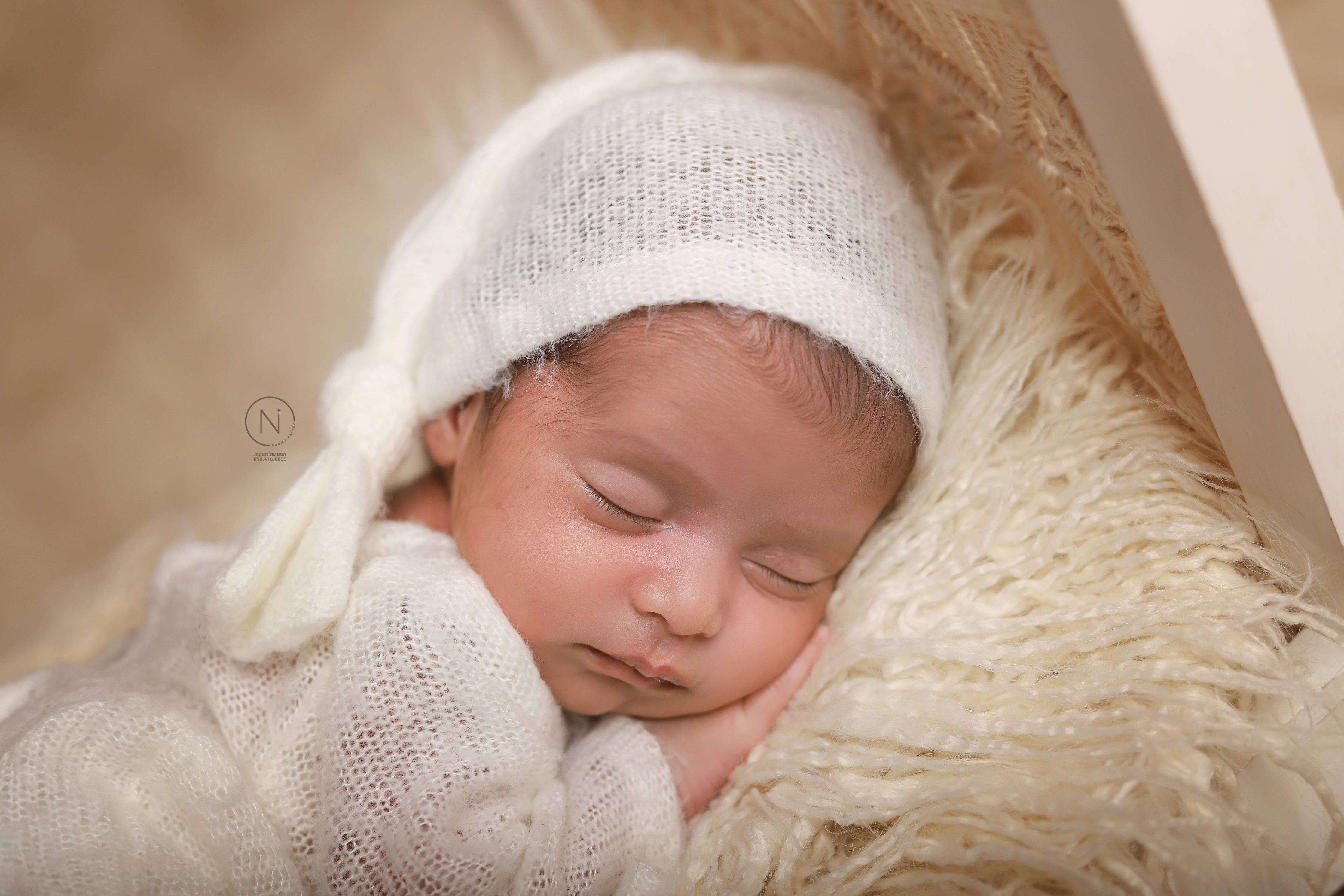 צילום נעמה נייהוז 0504160055