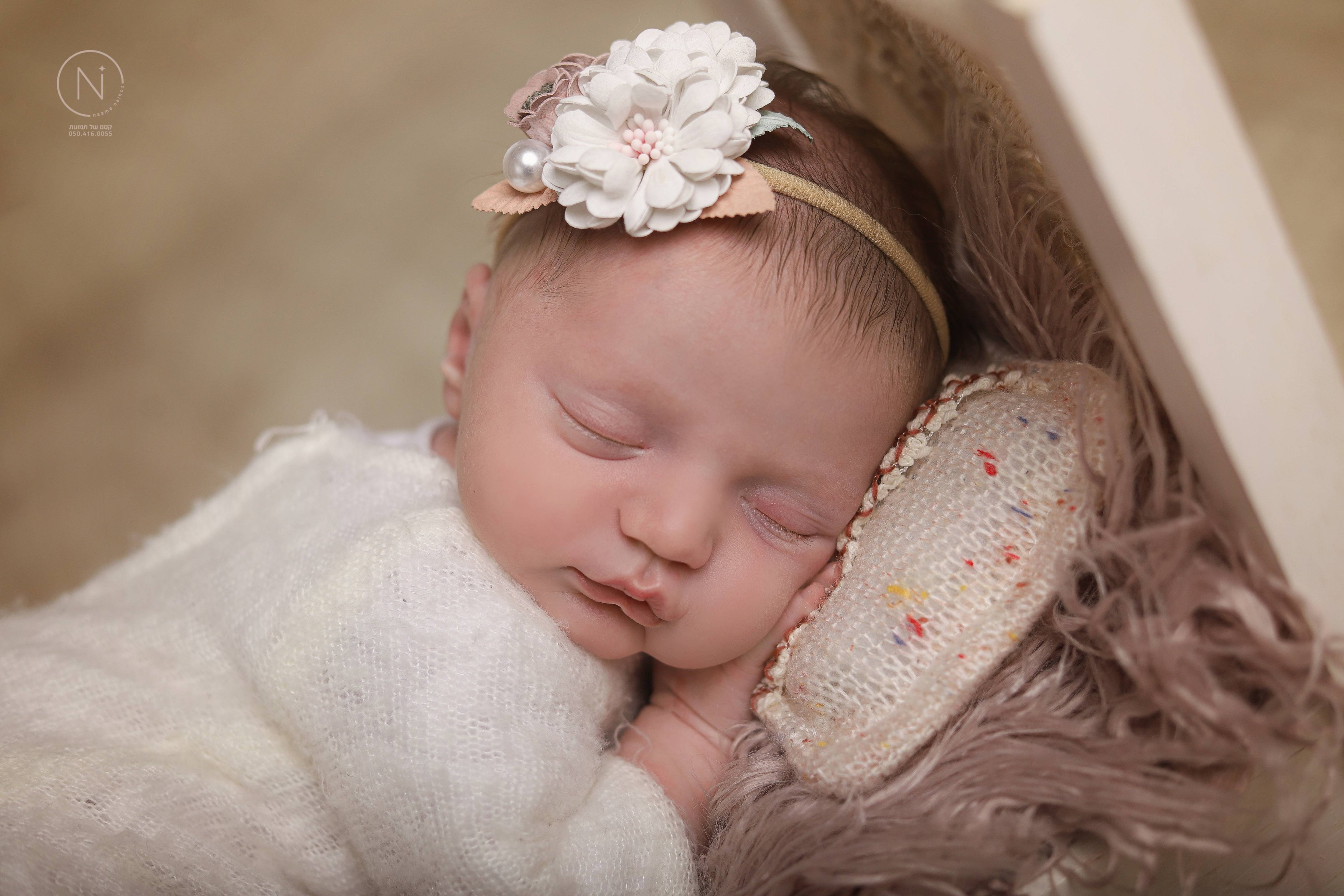 צילום נעמה נייהוז 0504160055