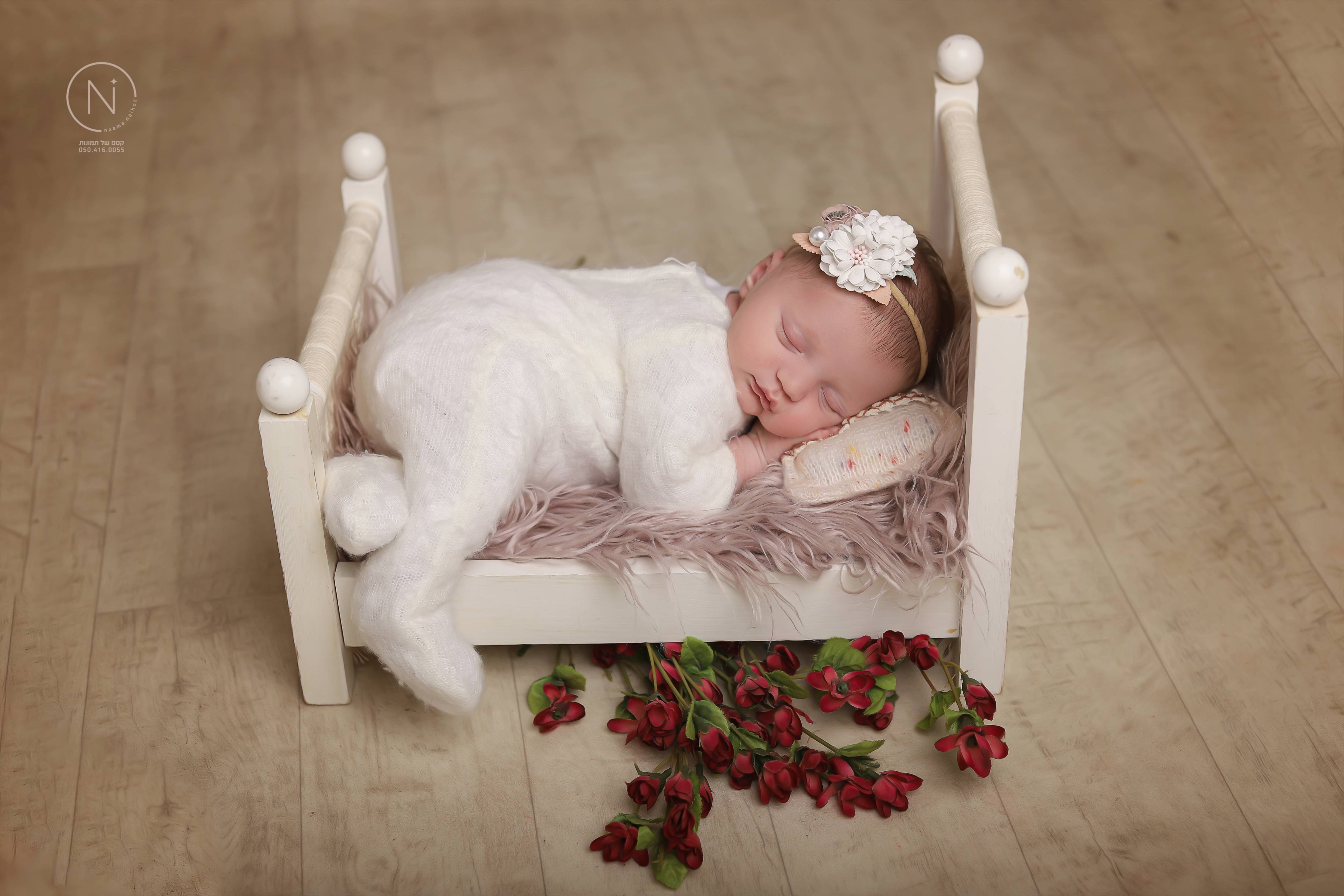 צילום נעמה נייהוז 0504160055