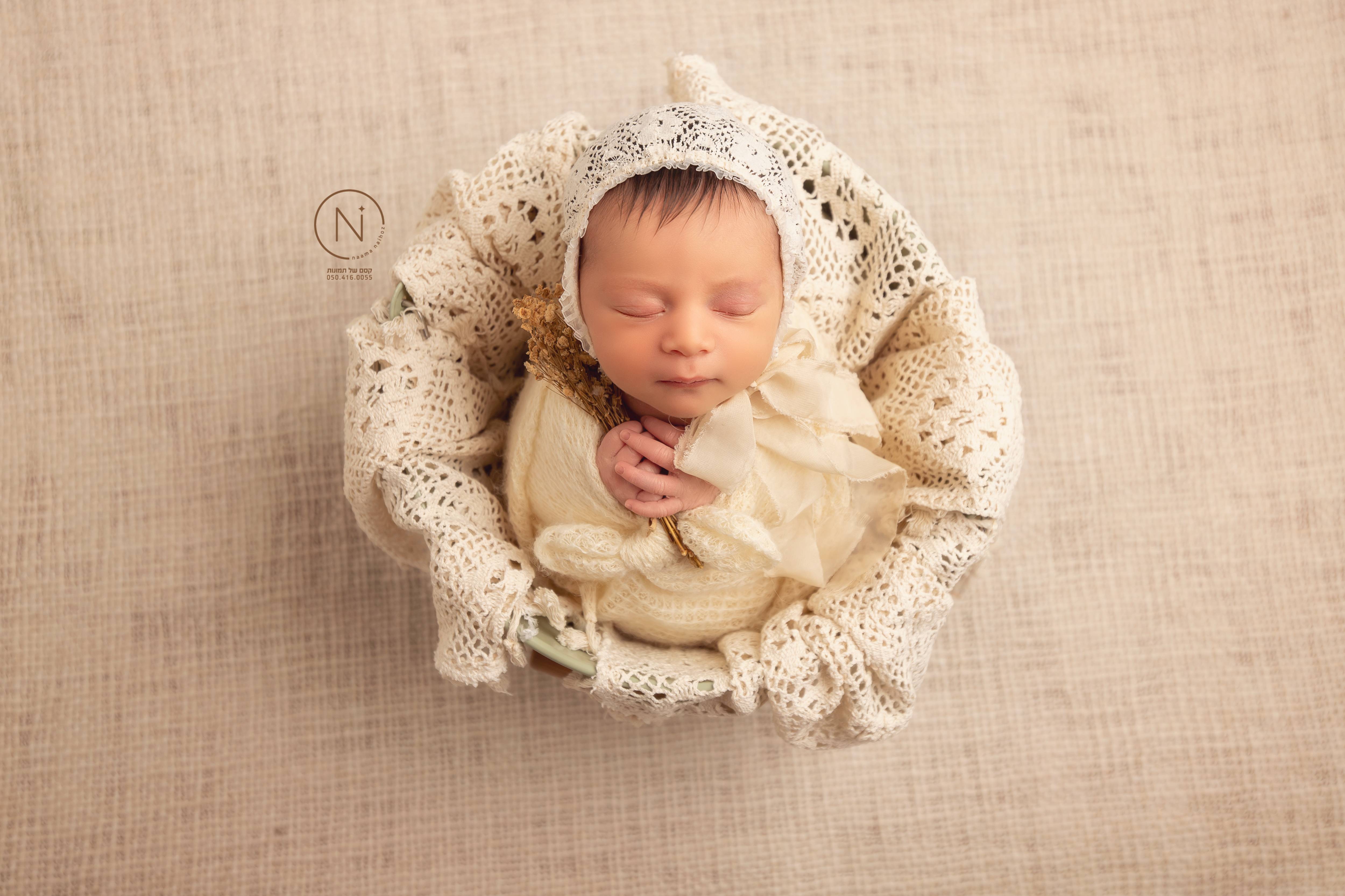 צילום נעמה נייהוז 0504160055