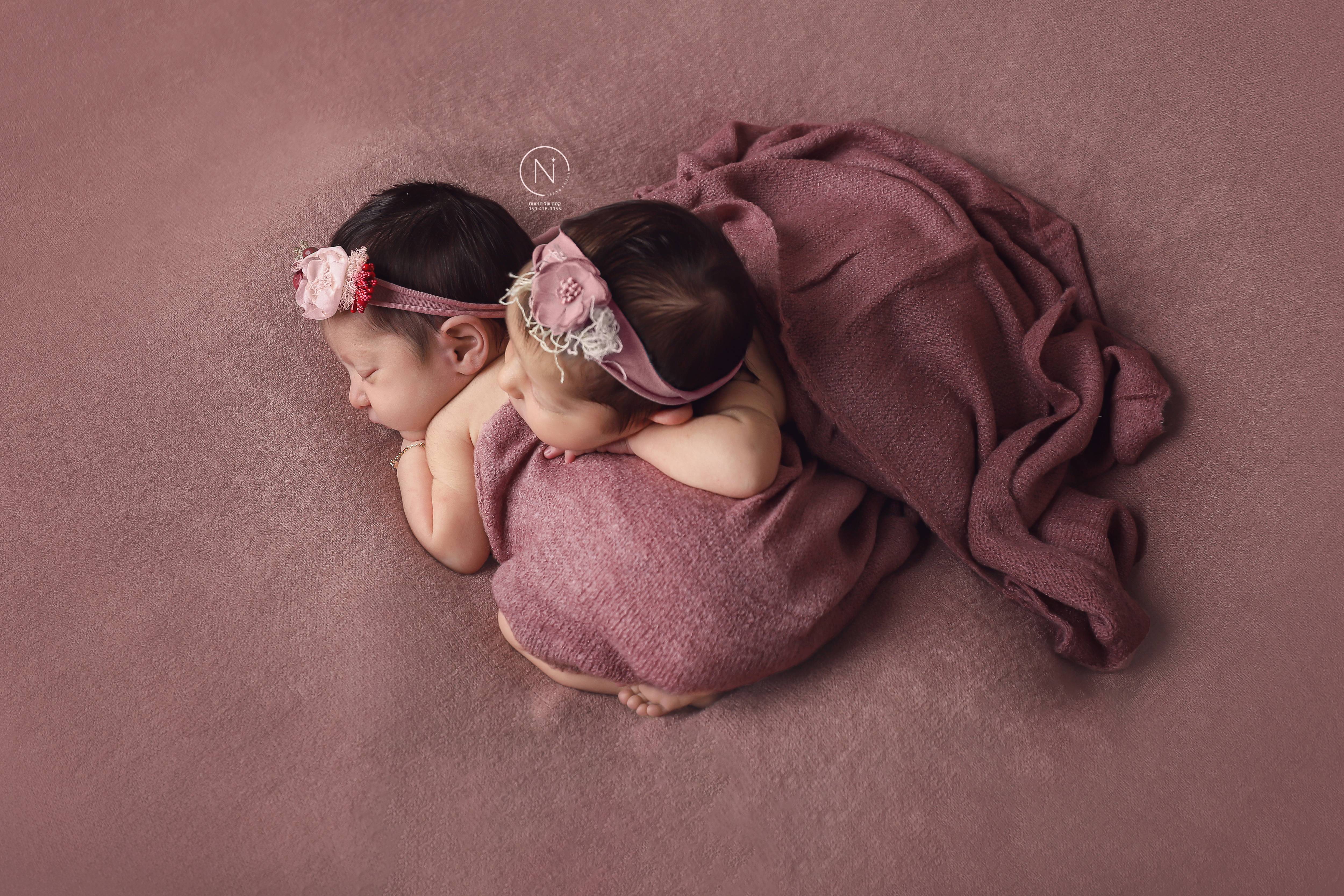 צילום נעמה נייהוז 0504160055