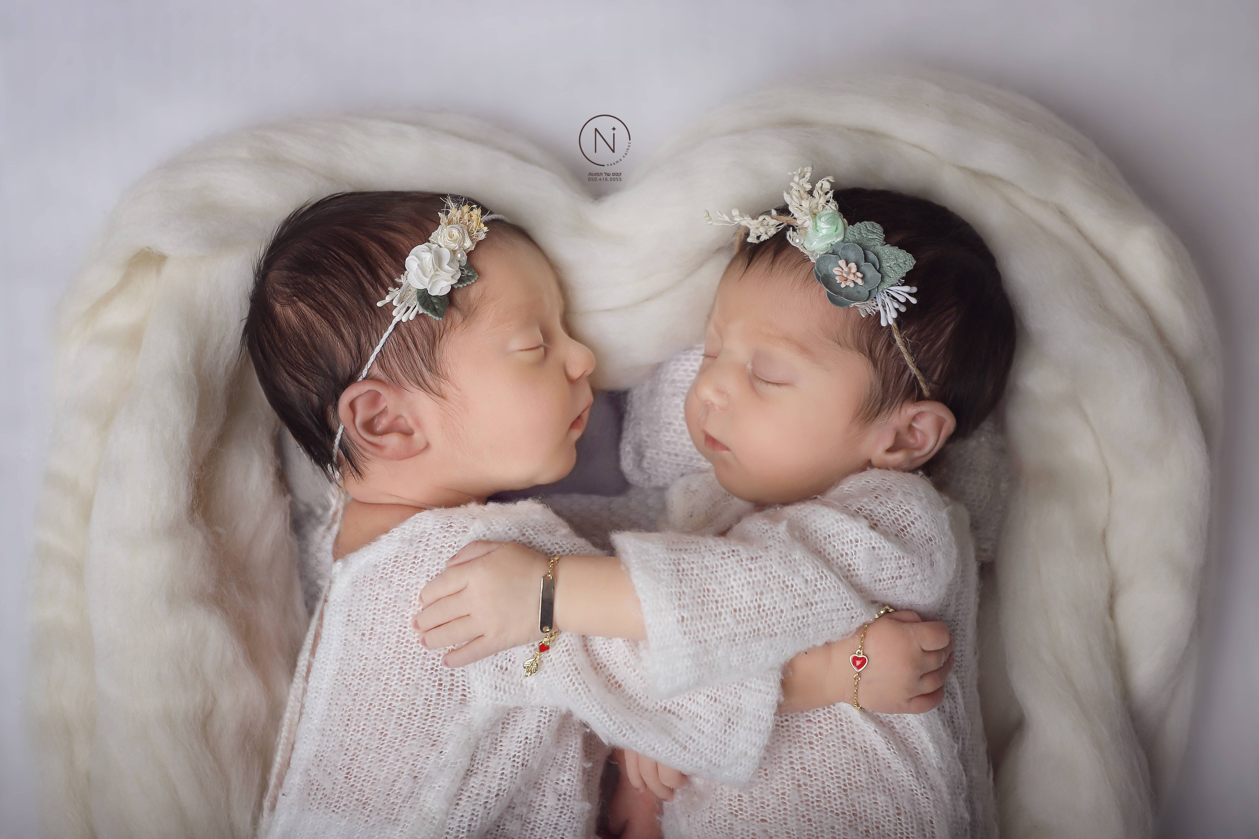 צילום נעמה נייהוז 0504160055