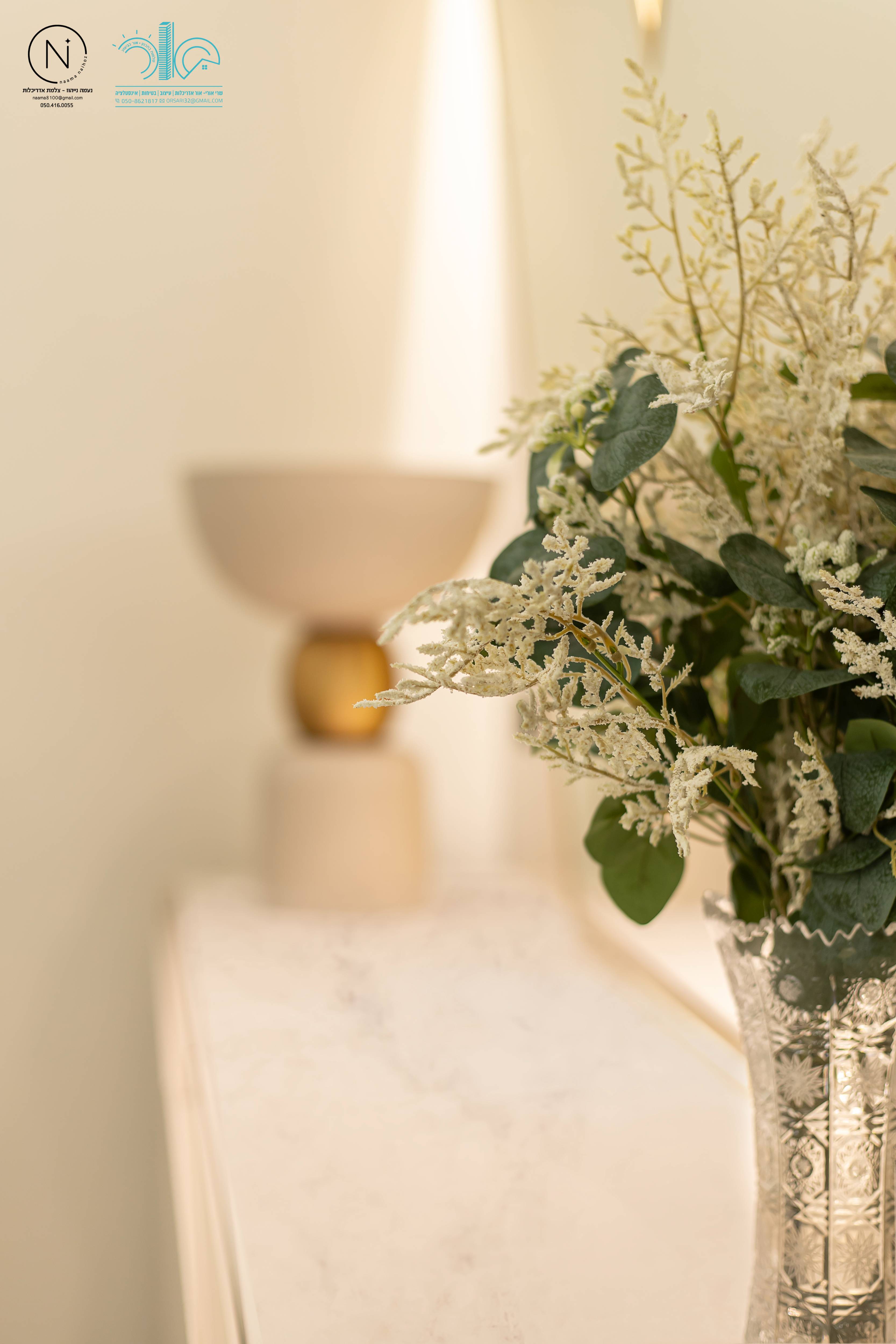 צילום נעמה נייהוז 0504160055