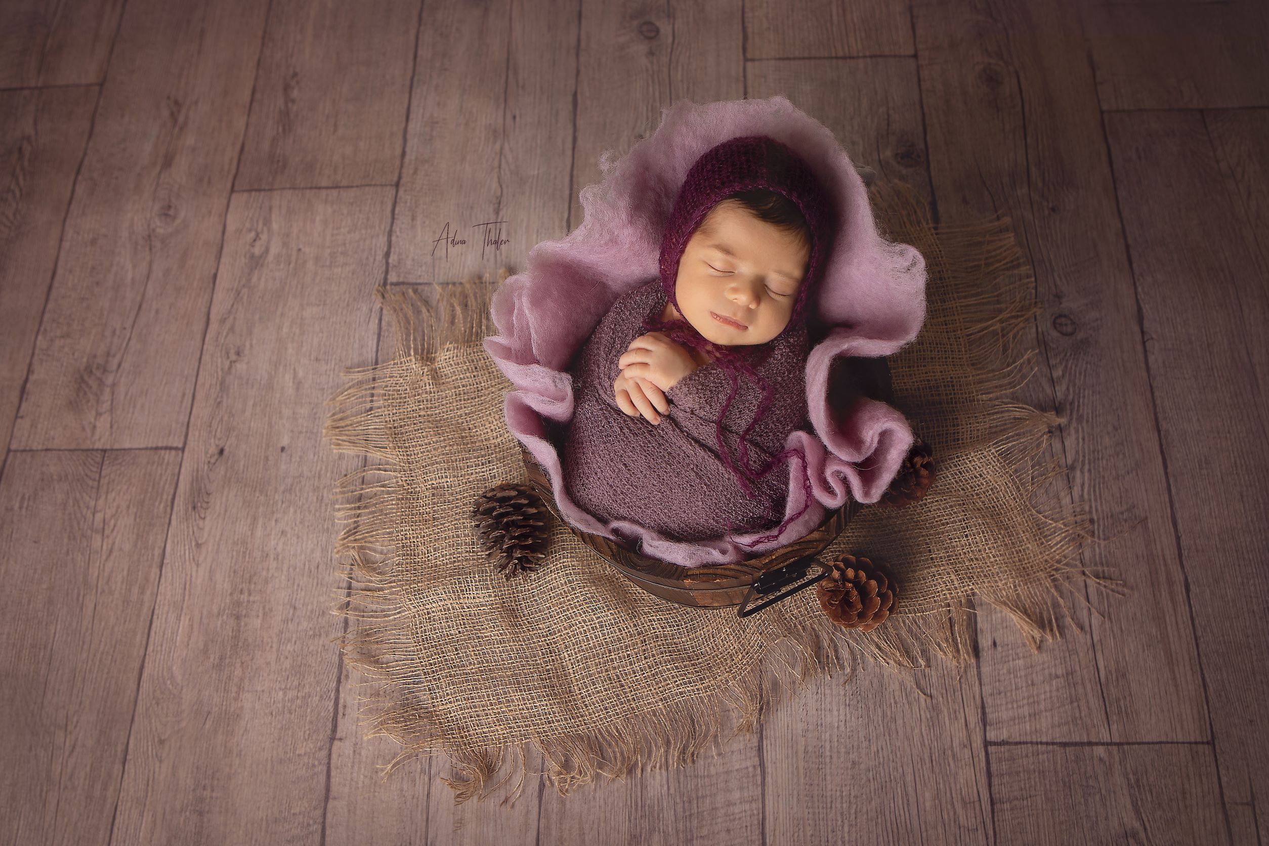 צילום עדינה טהלר (2).JPG