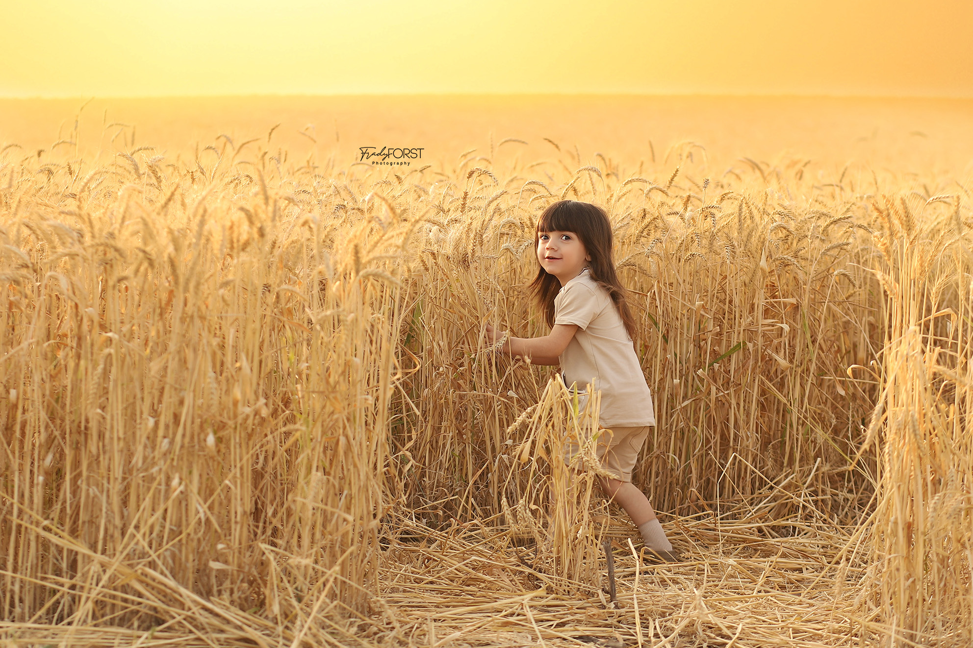 צילום פראדי פורסט 0533136818