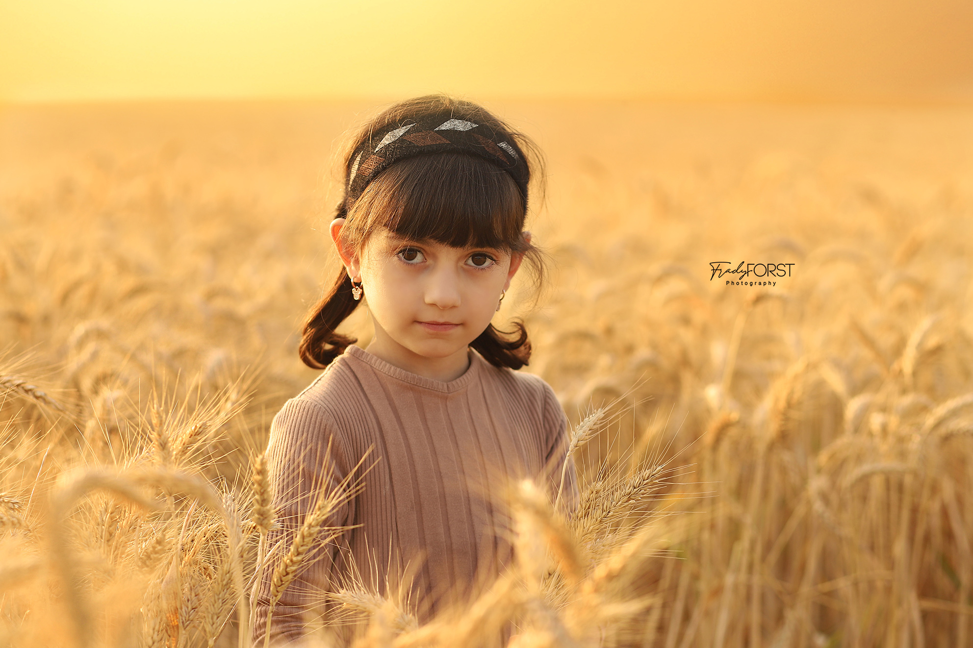 צילום פראדי פורסט 0533136818