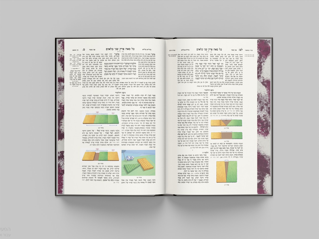 צילום צבעוני.jpg