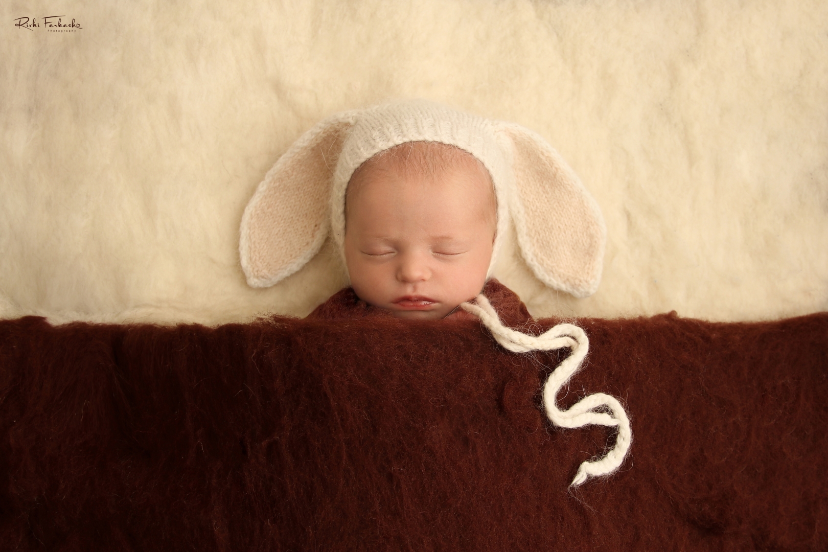 צילום רבקי פרקש 0533195097 (10) (Large).jpg