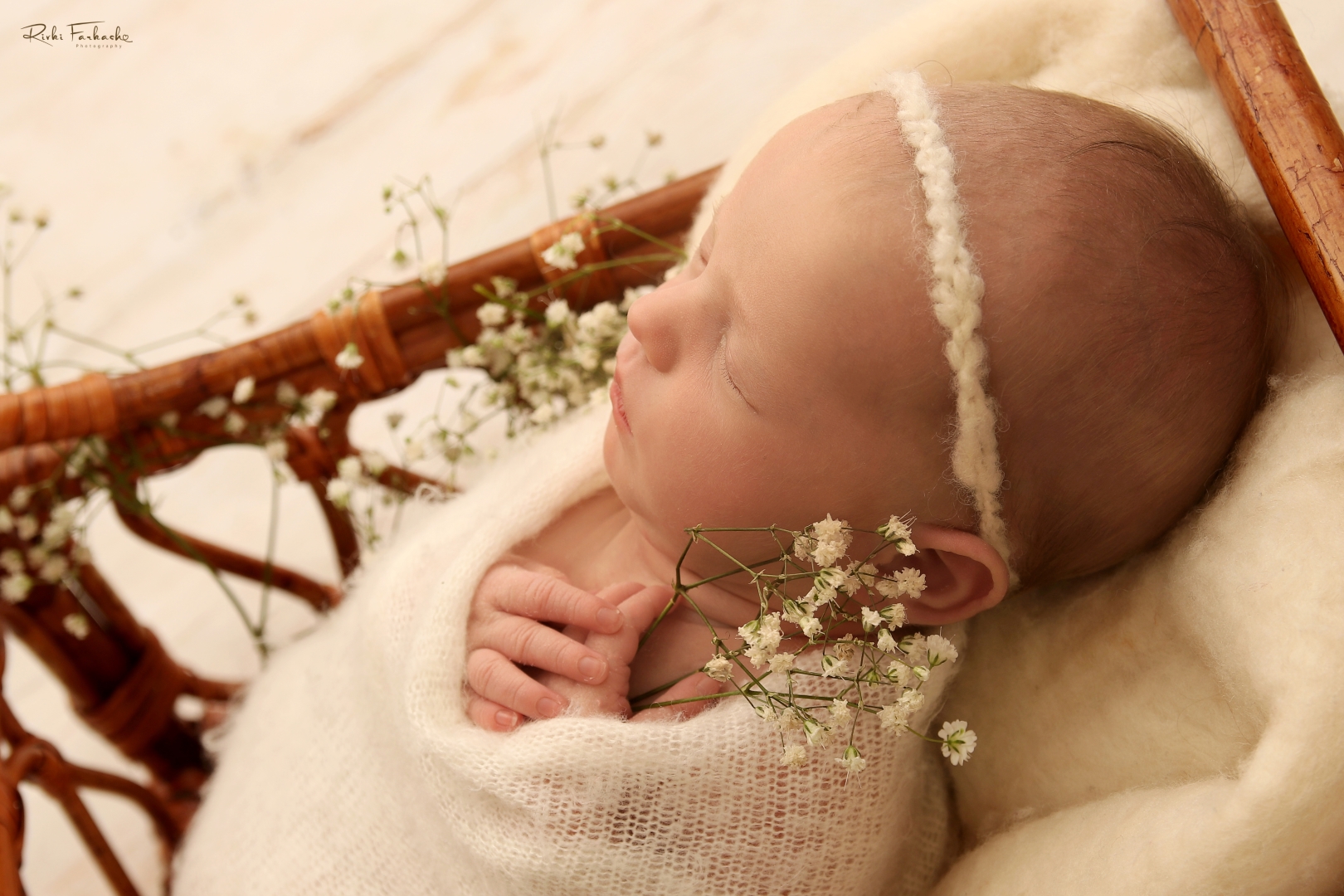 צילום רבקי פרקש 0533195097 (3) (Large).jpg