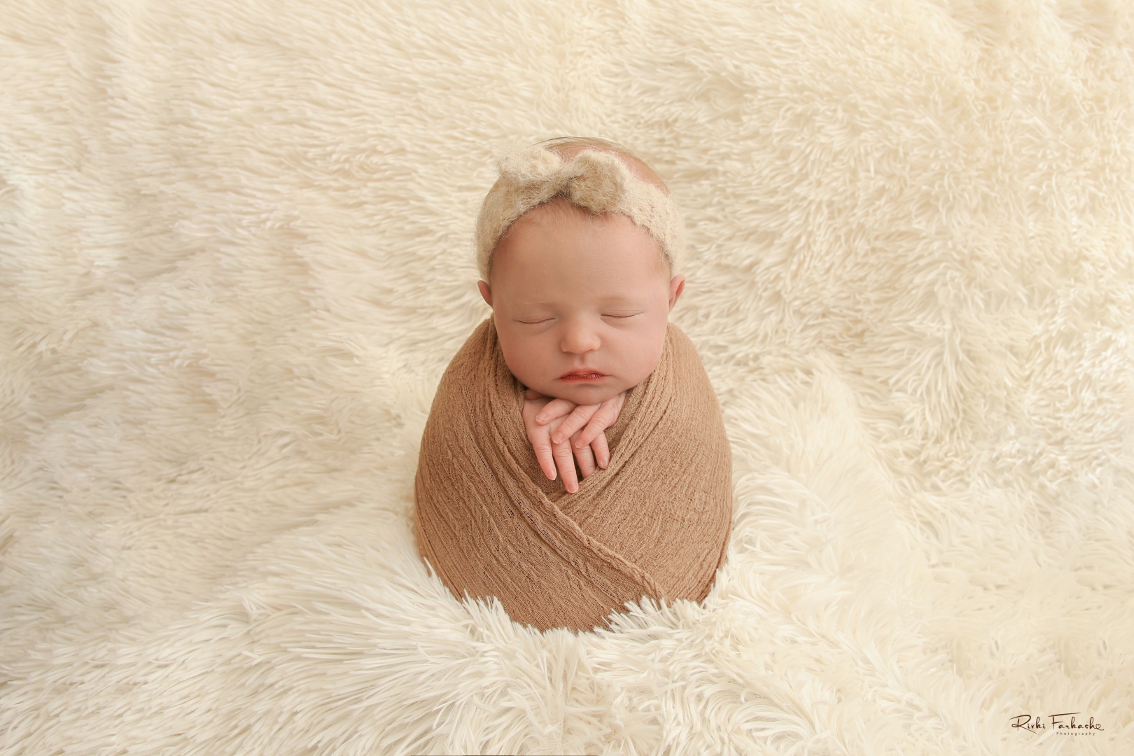 צילום רבקי פרקש 0533195097 (4) (Large).jpg