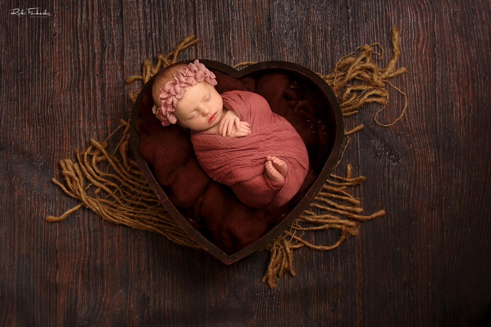 צילום רבקי פרקש 0533195097 (7) (Large).jpg