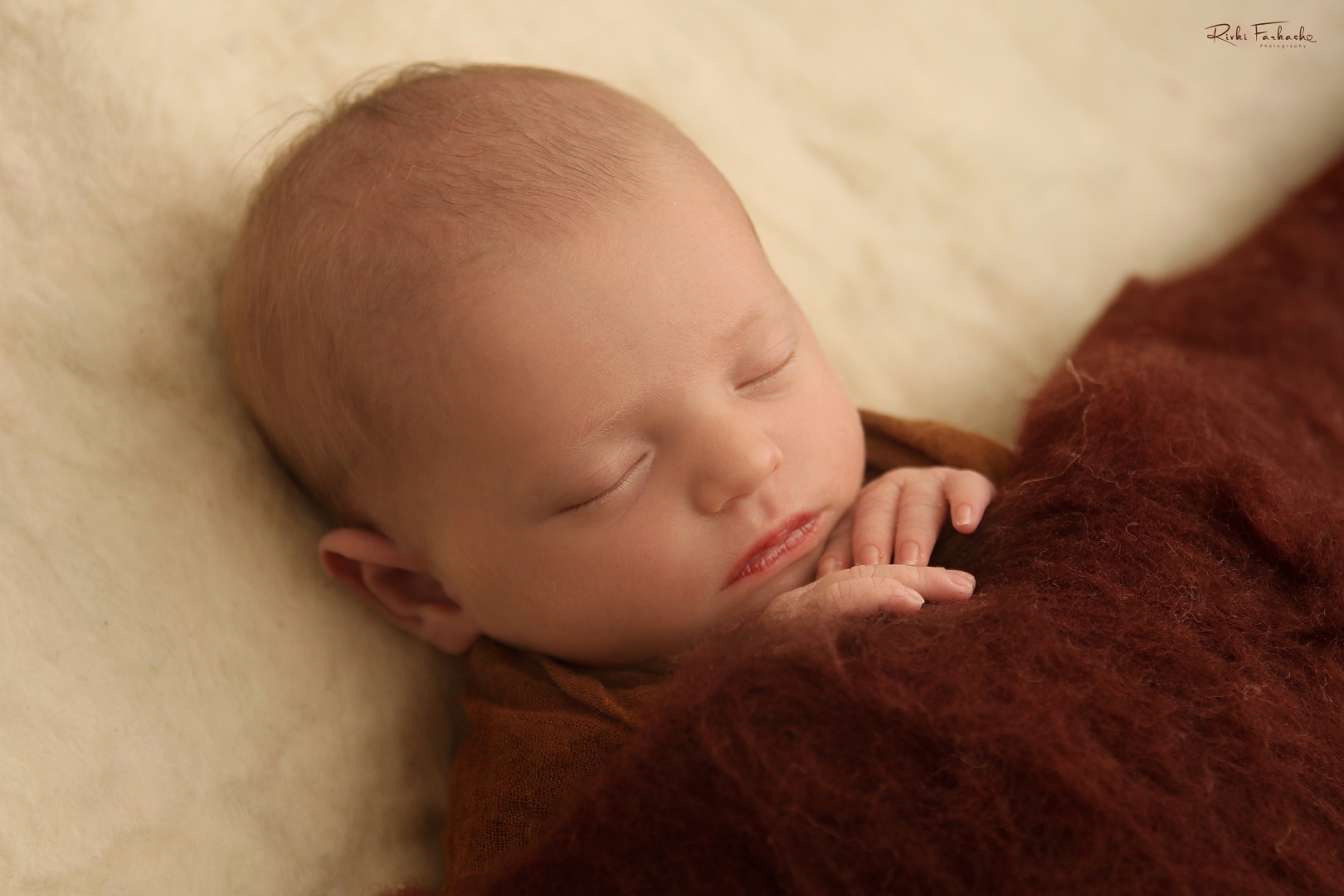 צילום רבקי פרקש 0533195097 (9) (Large).jpg