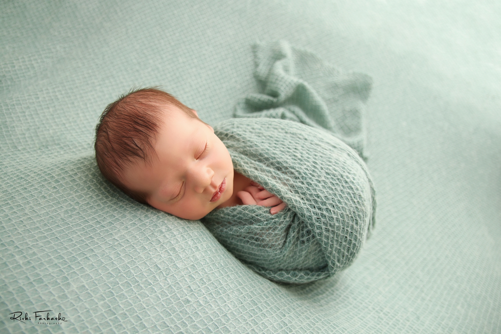 צילום רבקי פרקש (1).jpg