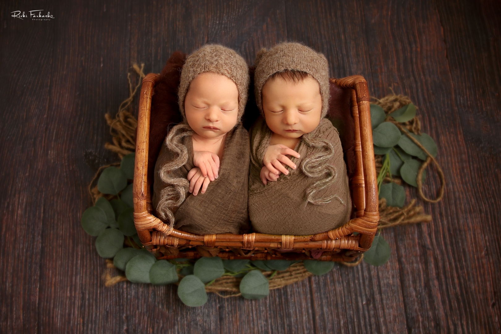 צילום רבקי פרקש (1) (Large).jpg